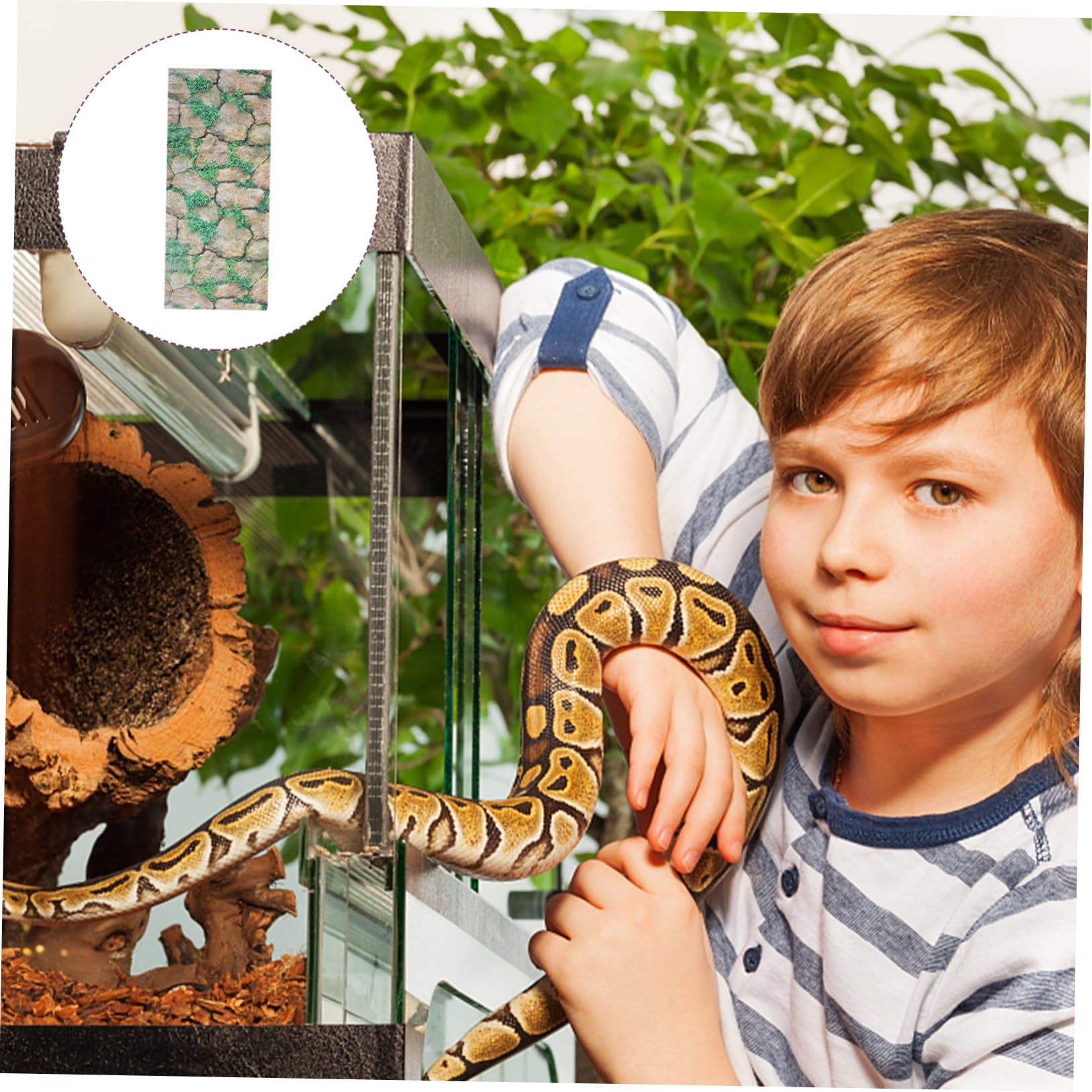 Reptilien Terrarium Aufkleber mit Felsenmuster Sicher und Leicht Entfernbar aus Papier Kreative Landschaftsdekoration für Aquarium und Reptilienkasten