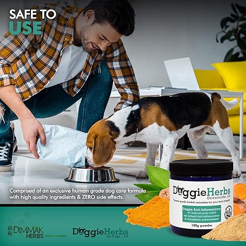 Miniatura 5 de Antiinflamatorio orgánico certificado para perros con cúrcuma (curcumina) | Alivio del dolor de perro de grado humano, circulación y suplemento de