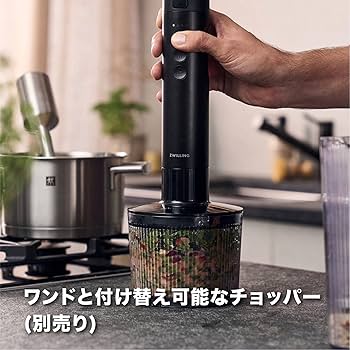 【美品】終遠のヴィルシュswitch 本編+FDセット 終遠のヴィルシュ -ErroR：salvation-【限定版】☆ステラセット