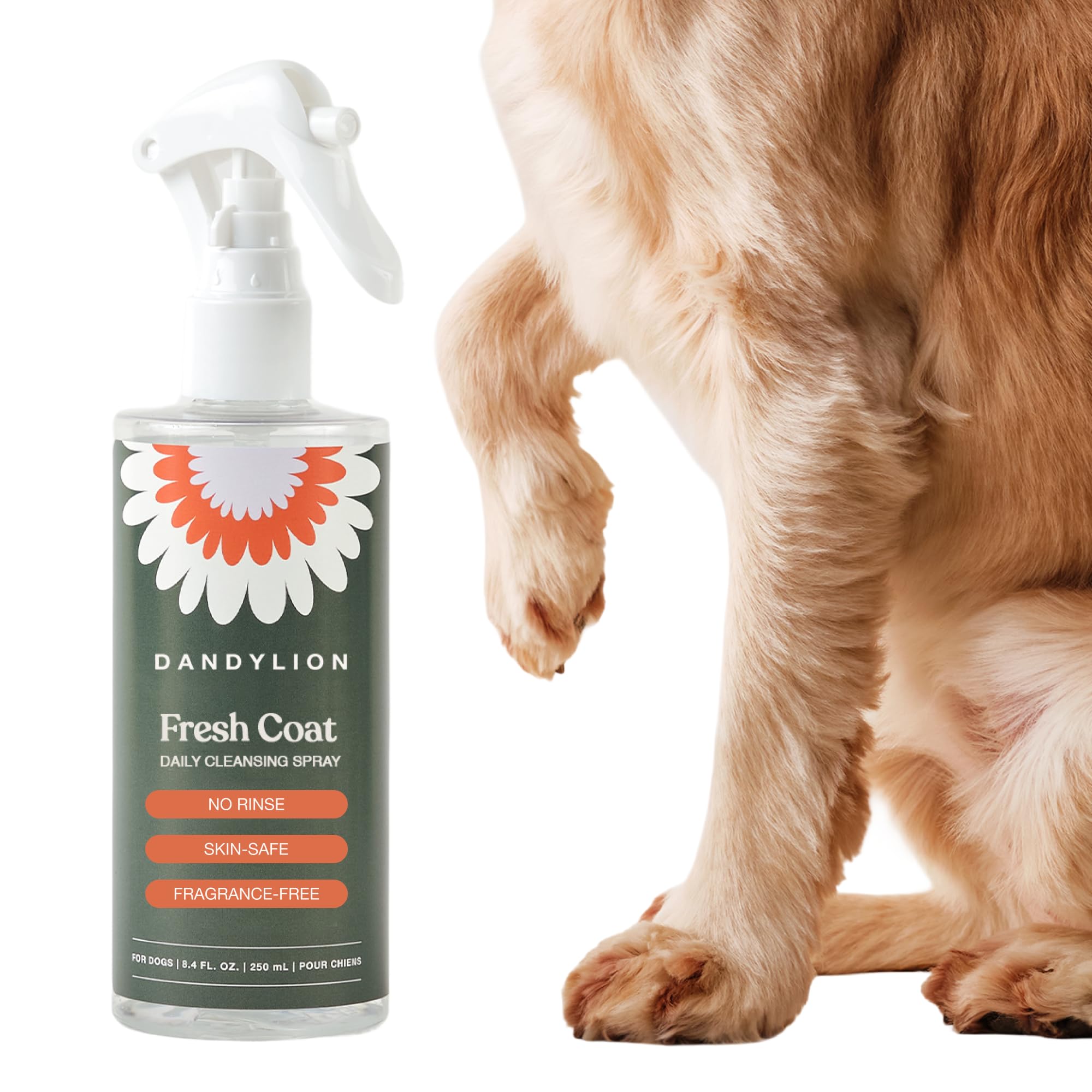 Amazon.com: Dandylion Waterless Dog Shampoo, Fresh Coat, Dog Dry