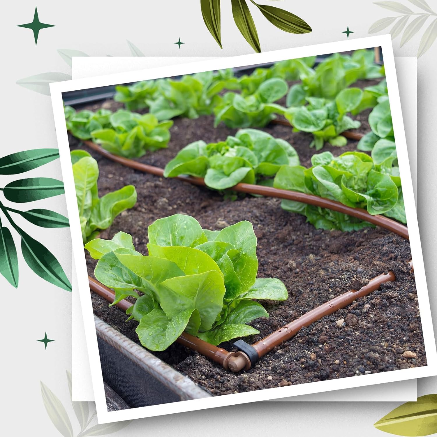 Nuanchu 498 ft 1/4" Drip Irrigation Tubing Irrigation Hose Garden Watering Tube Line with 9.8 Inch Emitter Spacing Blank Distribution Tubing Drip Line Watering for Garden Patio Lawn, Brown