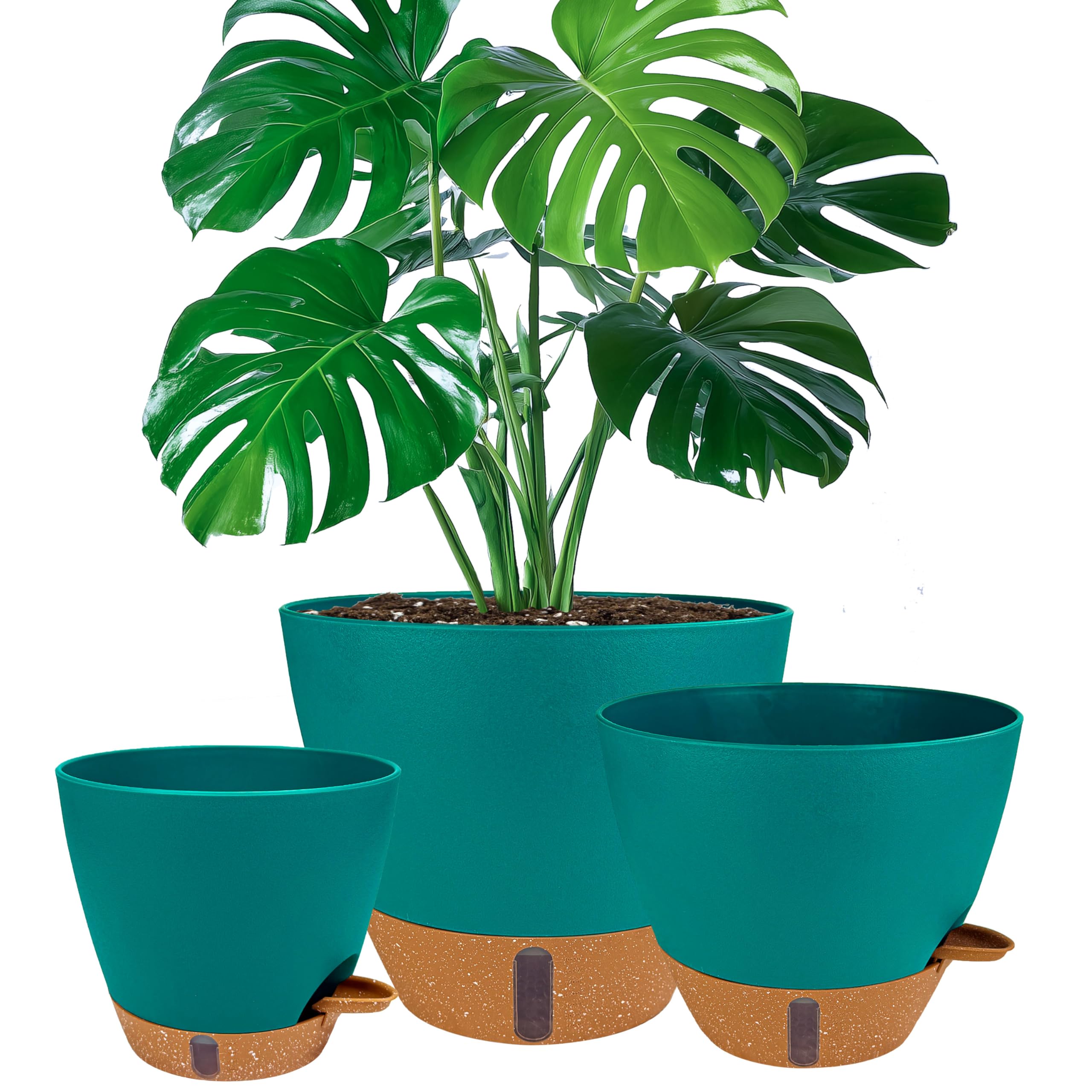 Photo 1 of Fielda Self Watering Pots (8/10/12 Inch)
