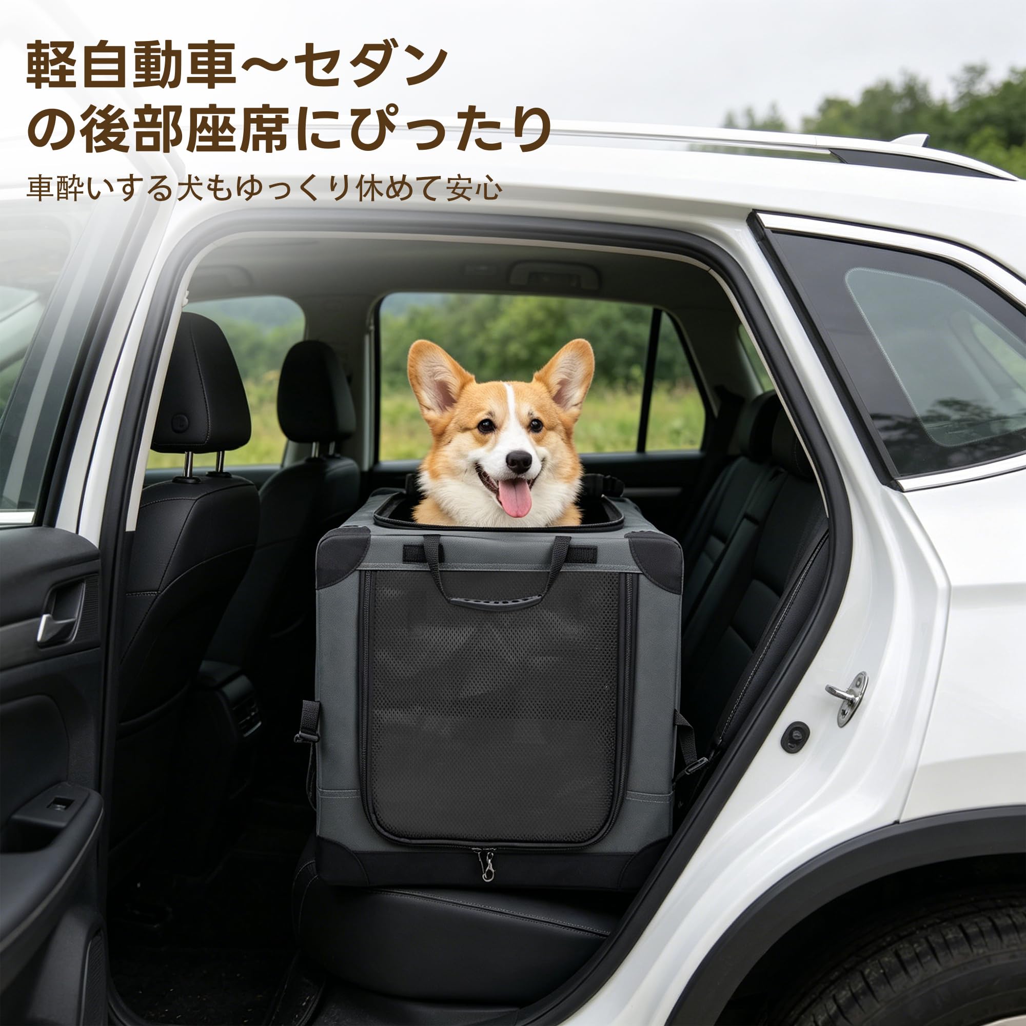 Amazon | Totoro ball 折りたたみペットケージ 犬ケージ 犬用クレート