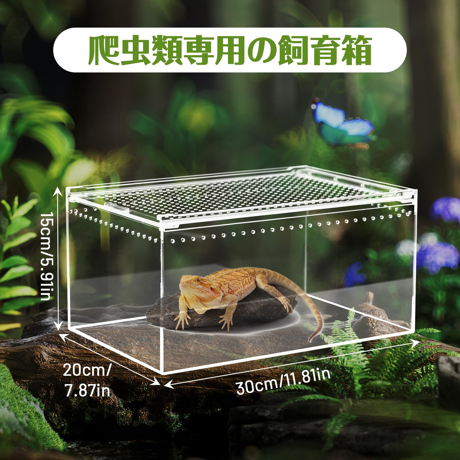 Amazon | Whtkoph 爬虫類飼育箱 レプタイルボックス換気 通気性