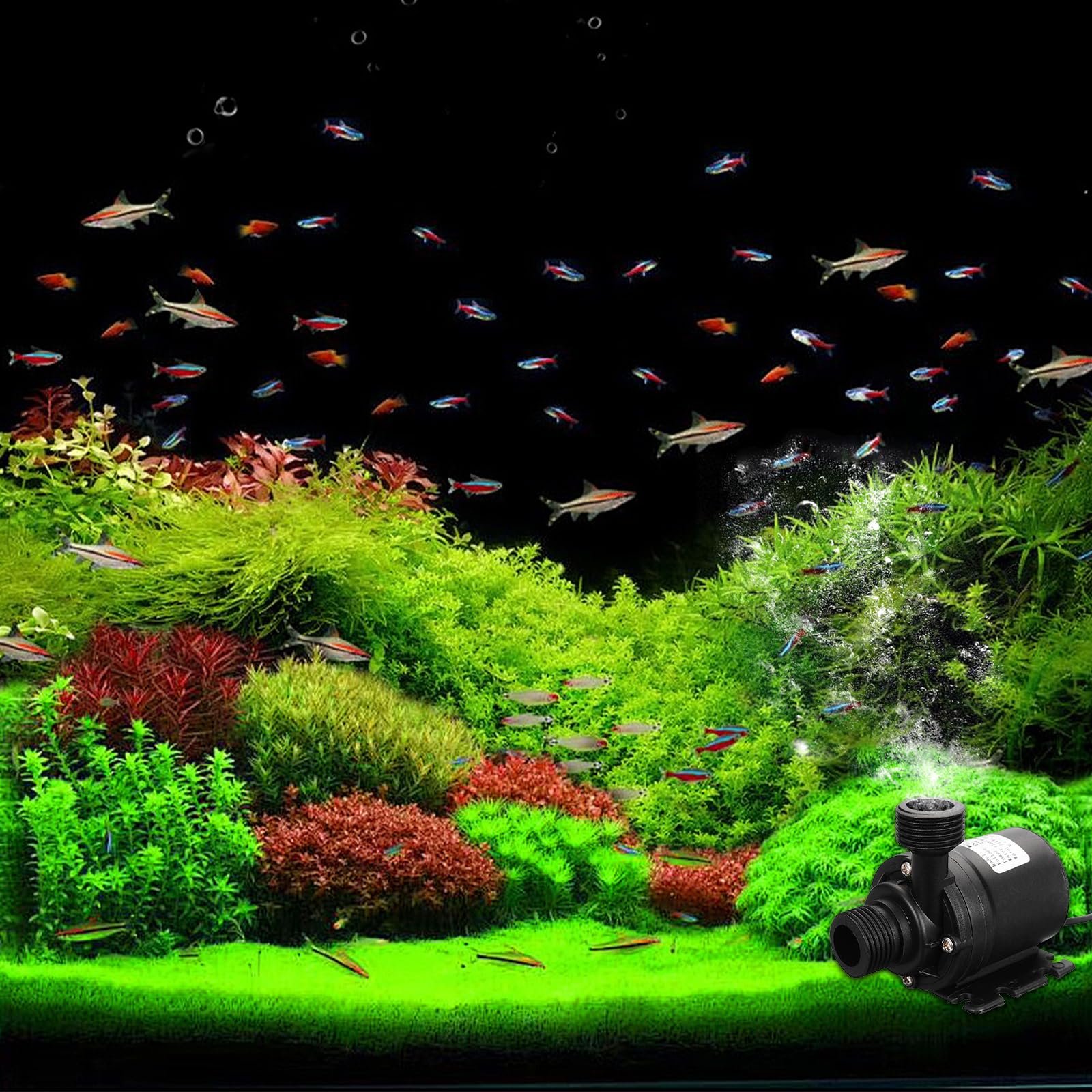 Pompe a Eau 12v, Mini Pompe à Eau Submersible Moteur Sans Balais 800l/h 5m, Pompes à Eau pour la Circulation de l'eau de la Piscine de Fontaine Solaire d'aquarium d'étang de Bassin