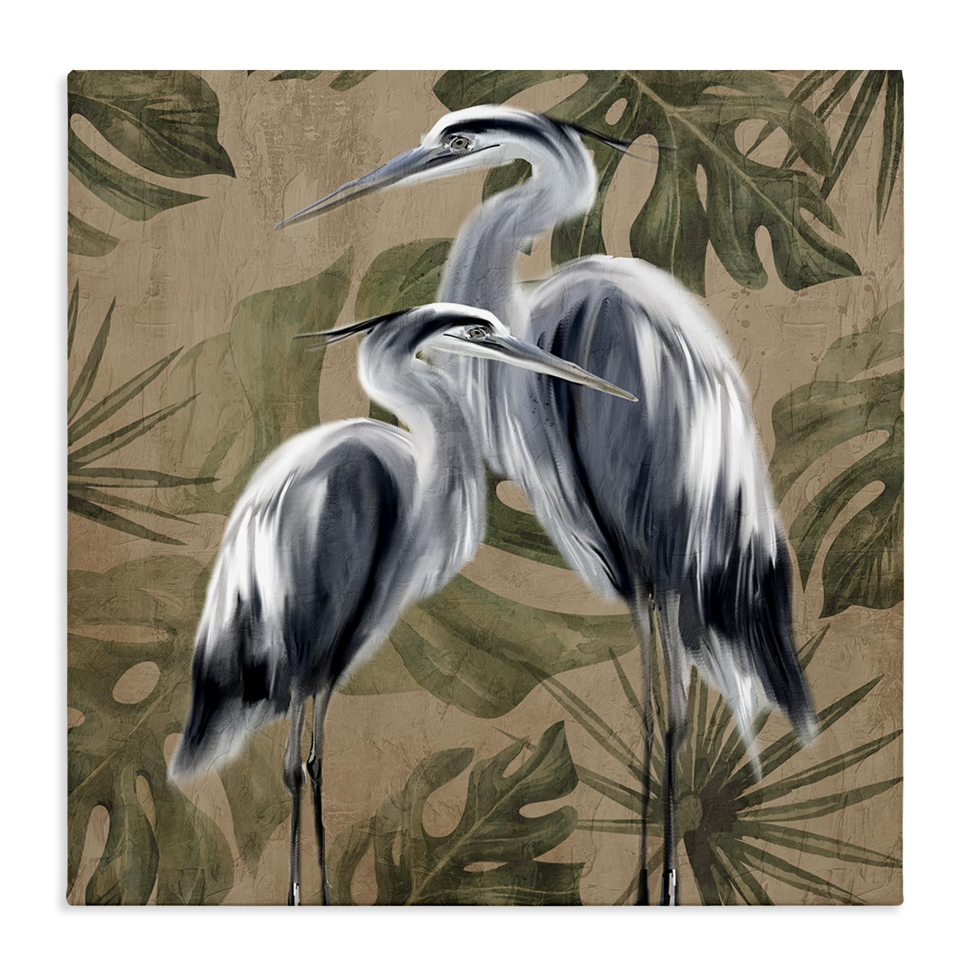 Stupell Industries 'Two Herons over Tropical Leaves', Canvas Art, 30 x 30 Inches, Easy to Hang and Sturdy, Made in USA, by Kim Allen