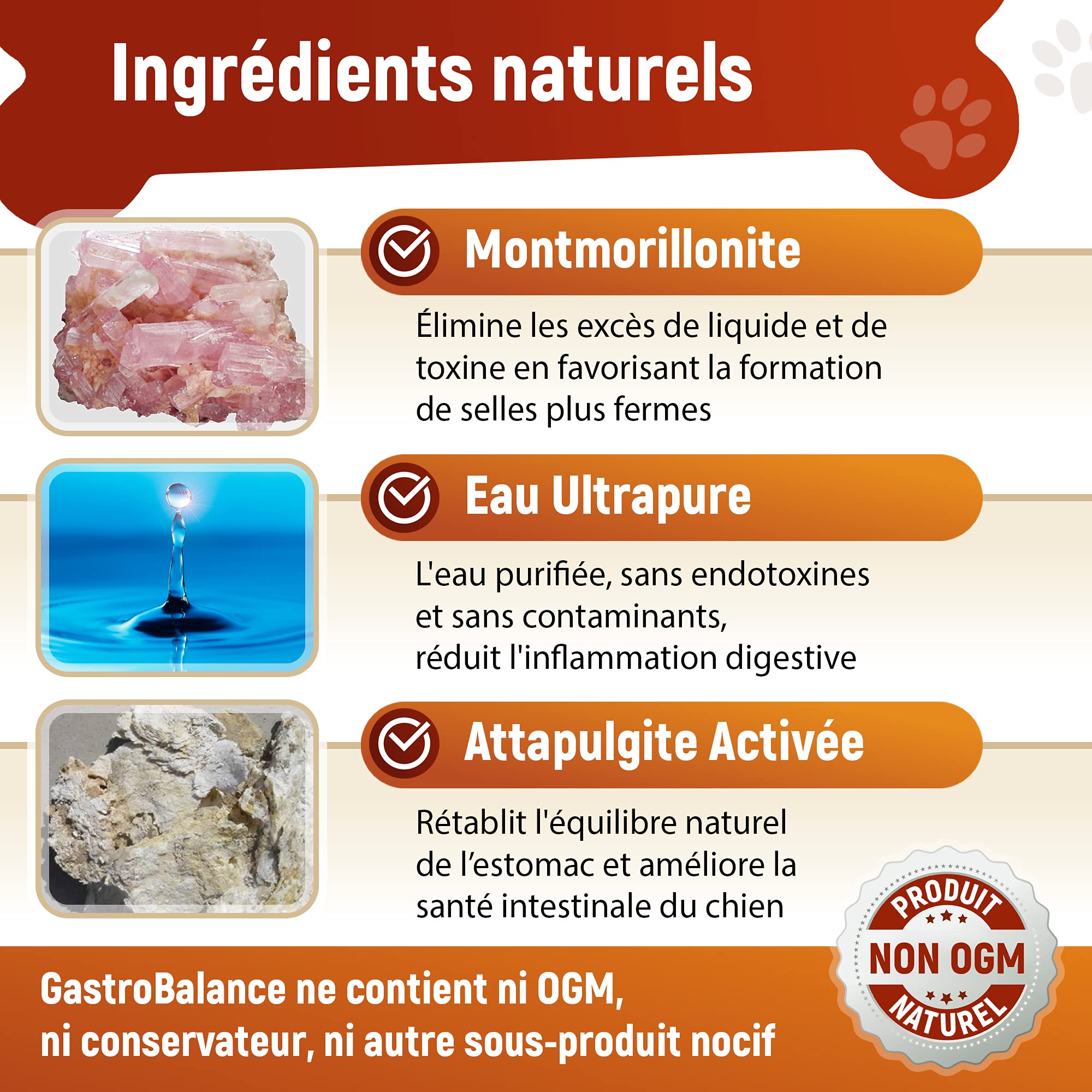 Traitement Anti diarrhée Chien - Soulagement diarrhée pour Chiens de Grande Taille > 10 kg (Français)
