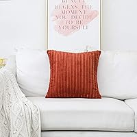 Vista 124 de UGASA - Juego de 2 fundas de almohada de terciopelo a rayas, funda decorativa para cojín con cremallera oculta para el hogar, sofá, dormitorio