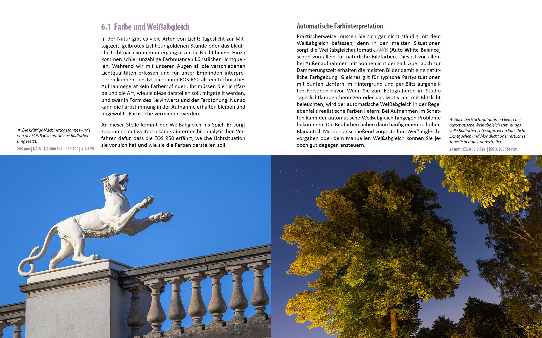 Canon EOS R50: Das umfangreiche Praxisbuch zu Ihrer Kamera!