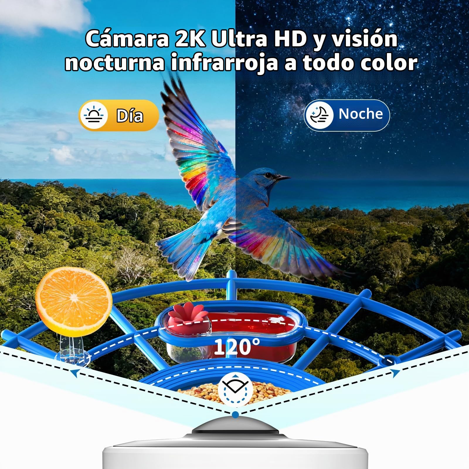 NIORSUN Comedero para Pájaros con Cámara 2K HD, Energía Solar, Reconocimiento IA de Aves, Visión Nocturna en Color, Notificación Instantánea & Grabación Automática | IP65 | 5200mAh | WiFi 2.4 GHz