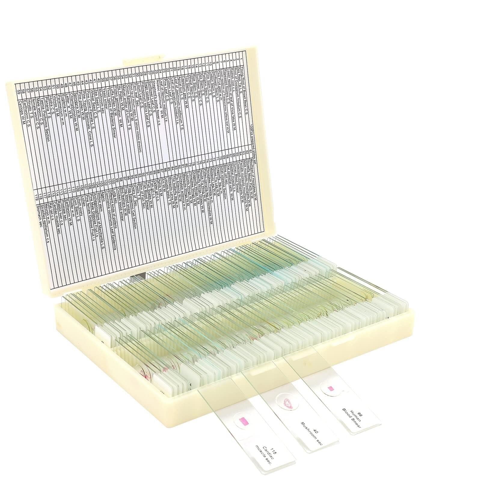 Spécimens de microscope préparés en kit éducatif, le cadeau de science idéal - 5