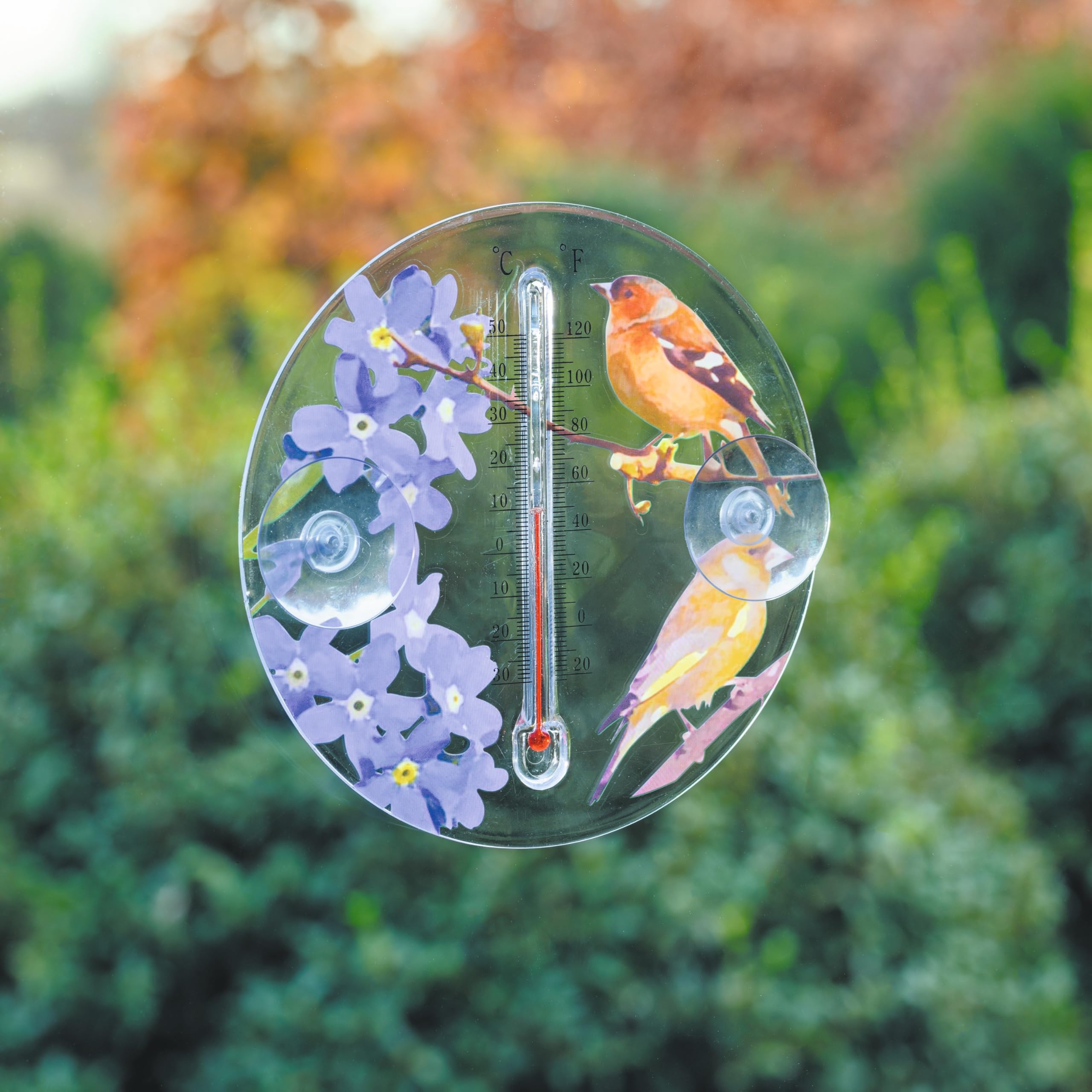 Outdoor Window Thermometer - Indoor Outdoor Home Garden Clear Circular Temperature Reader Gauge with Decorative Forget Me Knot Flower & Finch Bird Design – 16.5cm Diameter