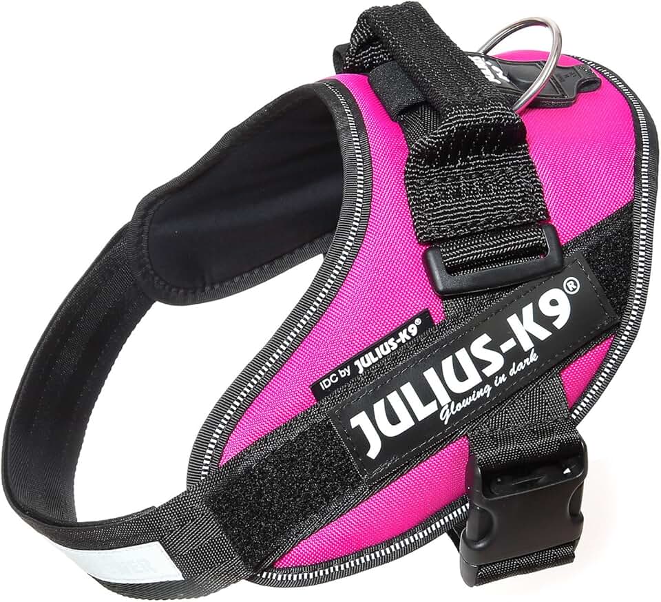 Amazon.co.uk joules dog harness