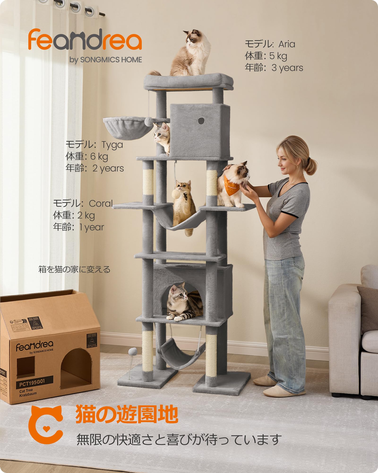 Amazon | FEANDREA キャットタワー ねこタワー 大型猫用 多頭飼い 人気