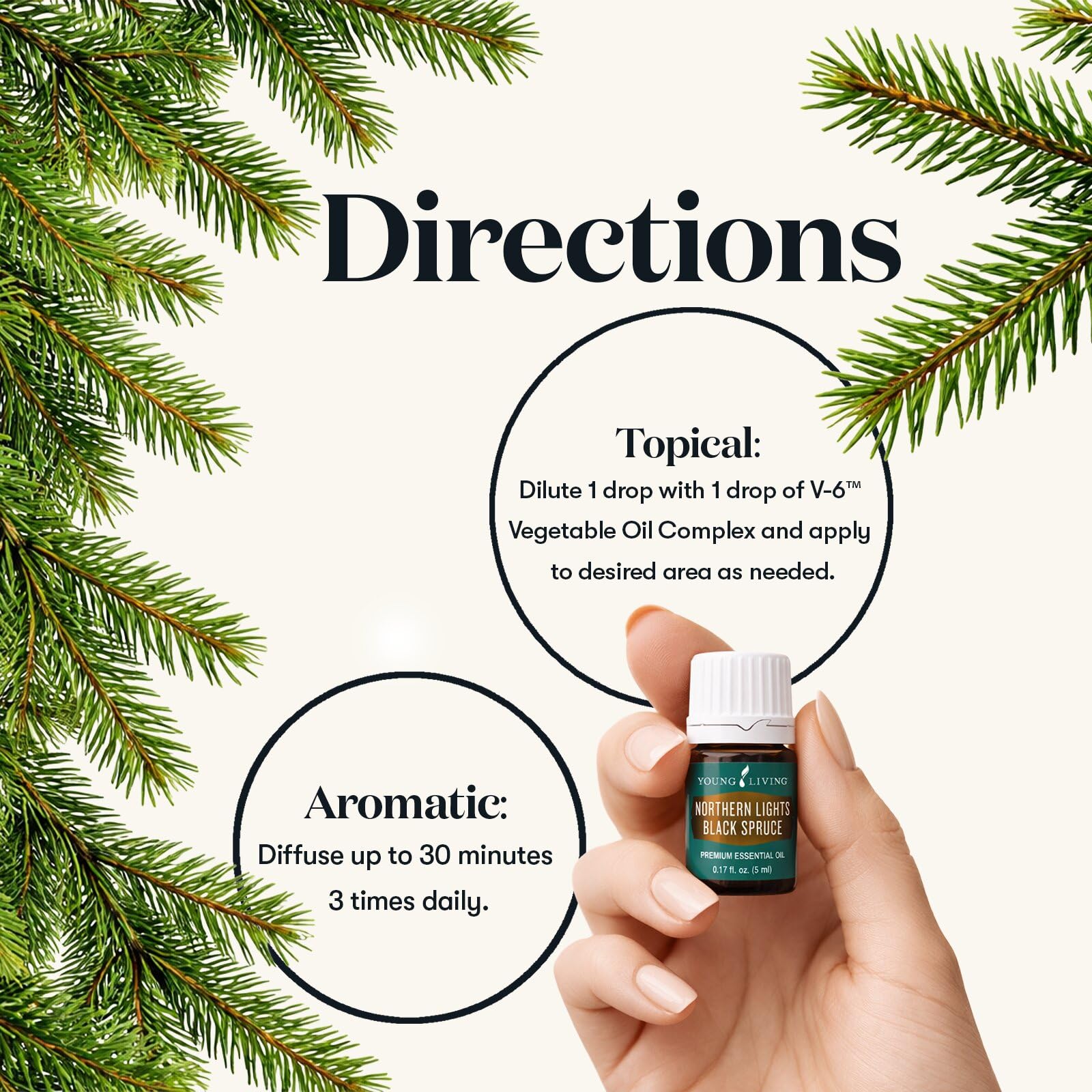 Amazon.com: Young Living Northern Lights Black Spruce Essential