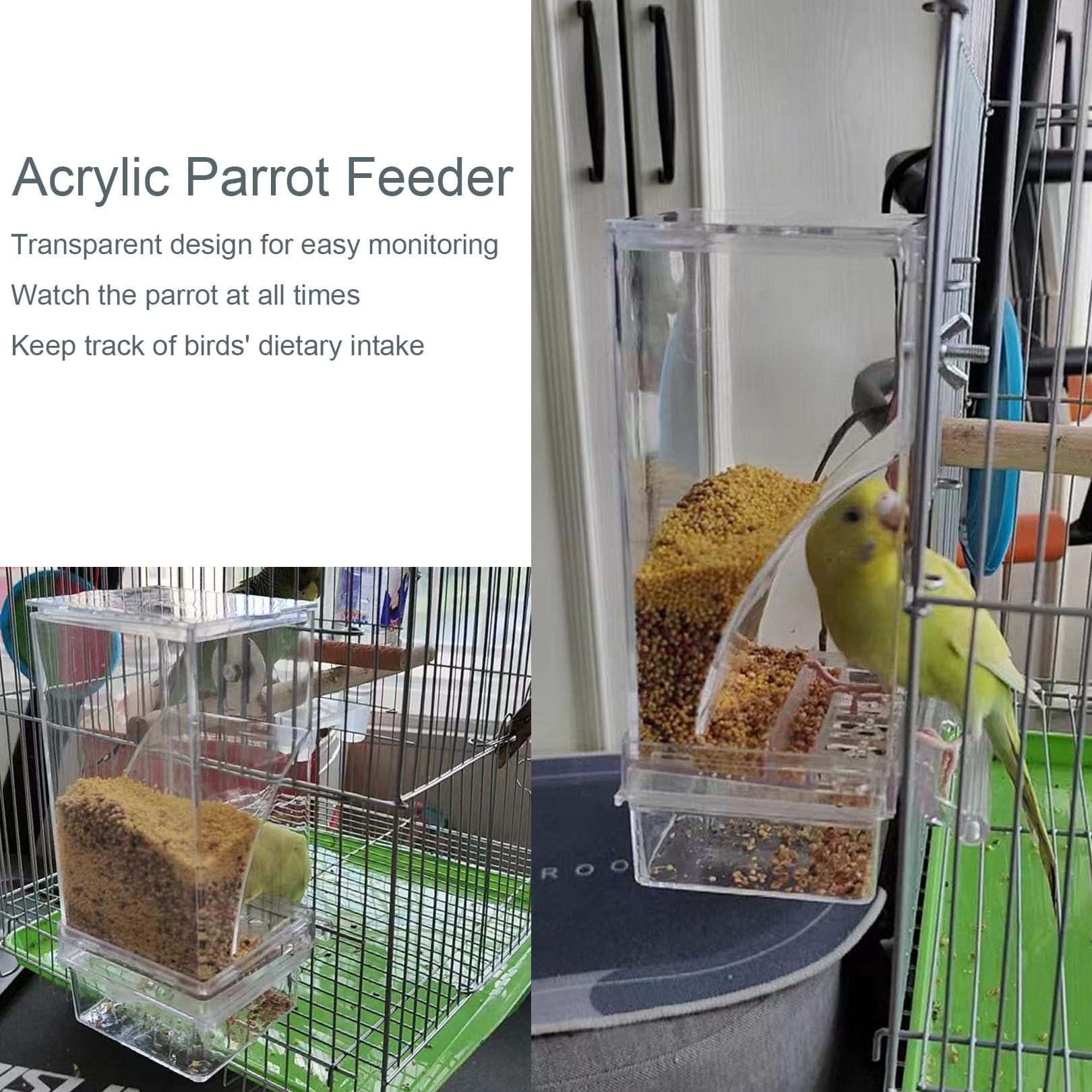 Juego de dispensador de agua para pájaros sin ensuciar, alimentador automático transparente para loros, contenedor de alimentos de acrílico, accesorios para pájaros pequeños, periquitos canarios,