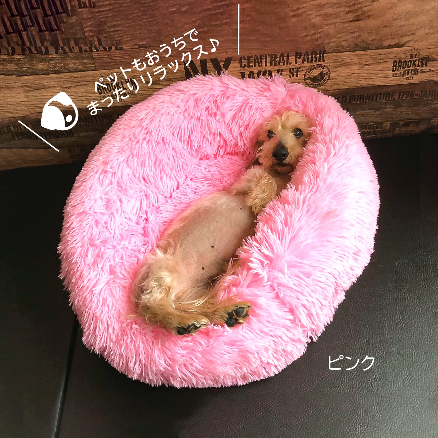 Amazon.co.jp: ペットアイ ペットをだめにするクッション ベージュ 