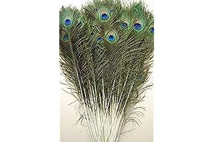 25 Pcs Natural Peacock Feathers 25 inches-40 inches (25 inches-30 inches)