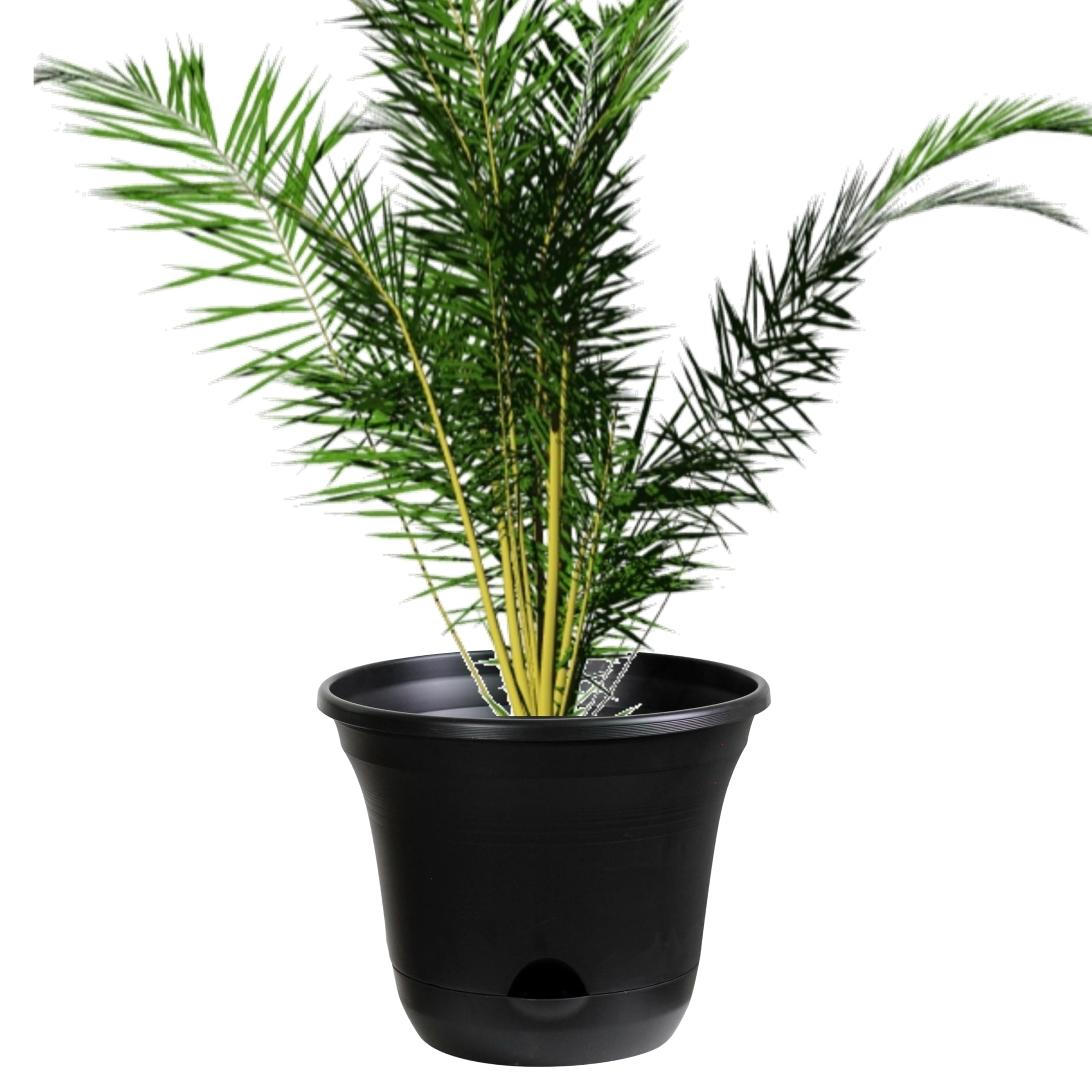 Olly & Rose San Marino Lazy Planters - Self Watering Plant Pot Charcoal - Large Planter - Indoor & Outdoor (1 x 35cm)