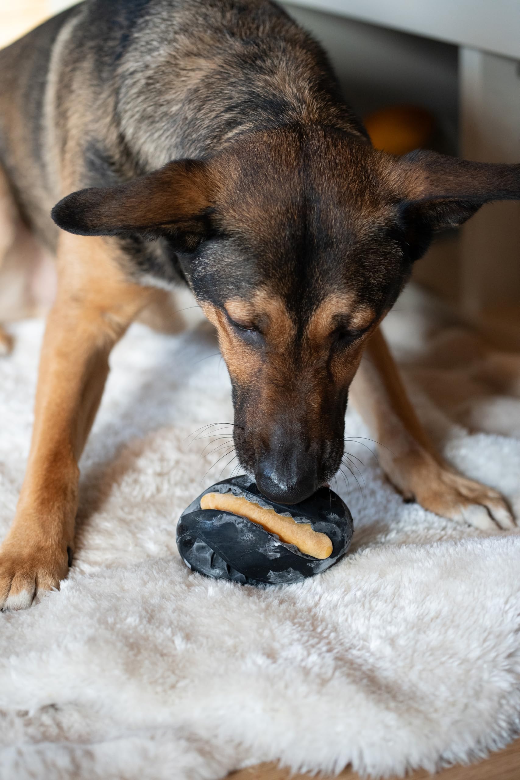 Zeus Chew Chasers Treat Rugby Ball Black 12.5cm - Image 4
