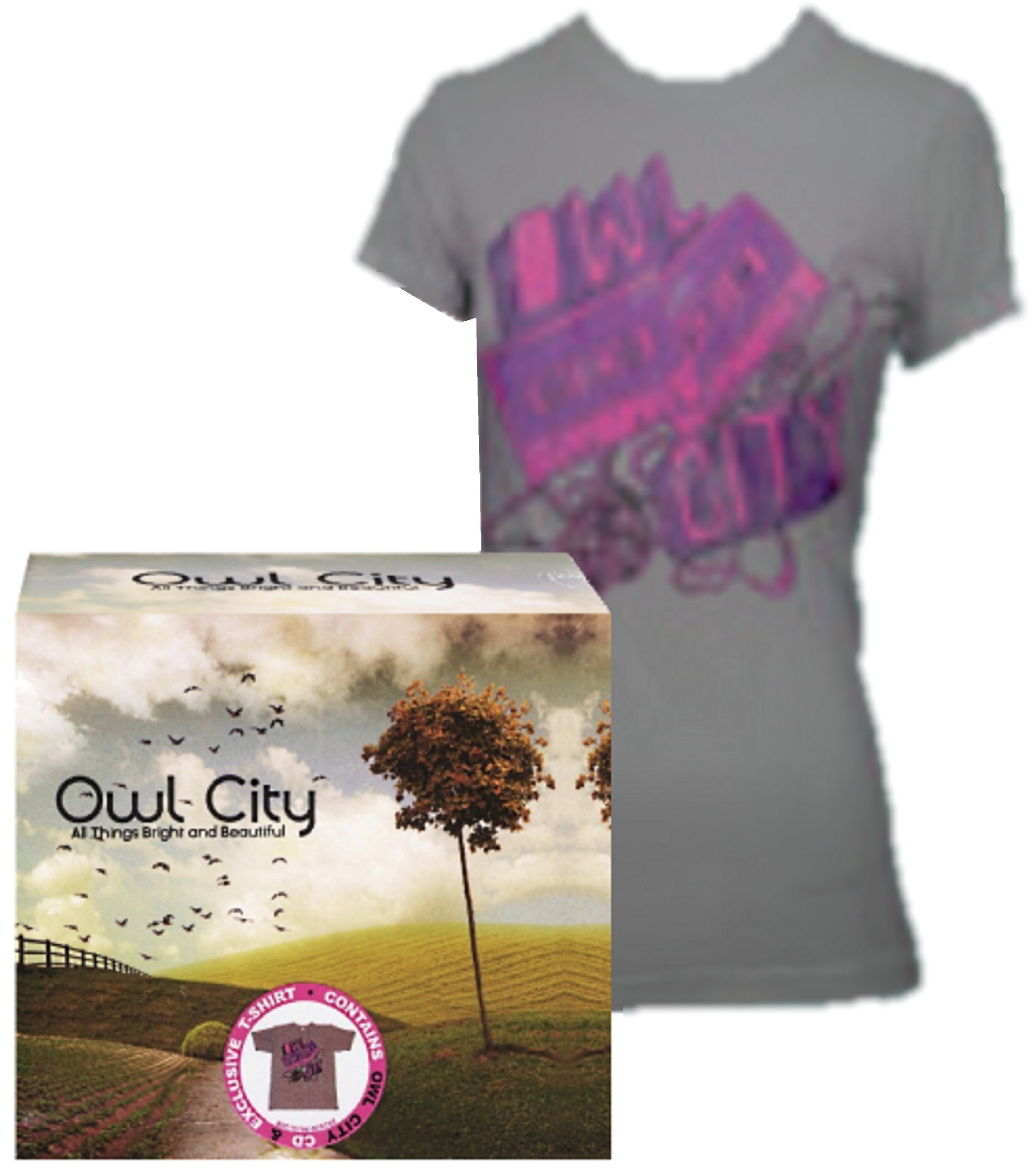 洋楽 Owl City All Things Bright and Beautiful 81gKBvb8EAL.jpg