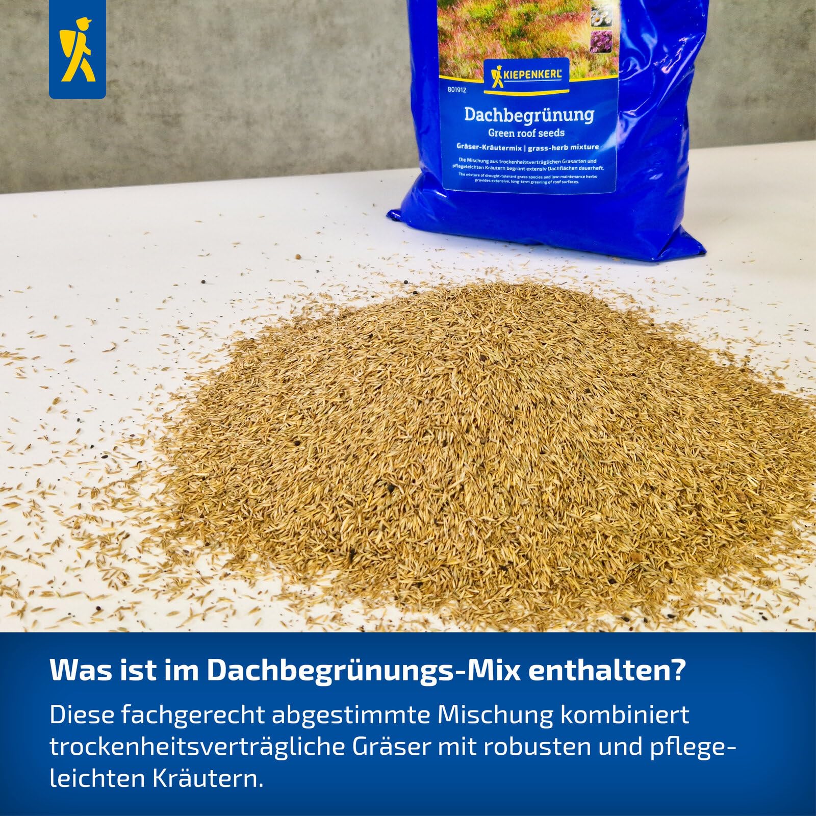 Kiepenkerl Dachbegrünung Kräutermix 801912 - Trockenheitsverträgliche Grasarten und Pflegeleichte Kräuter - Grassamen, Saatgut, Mehrjährig