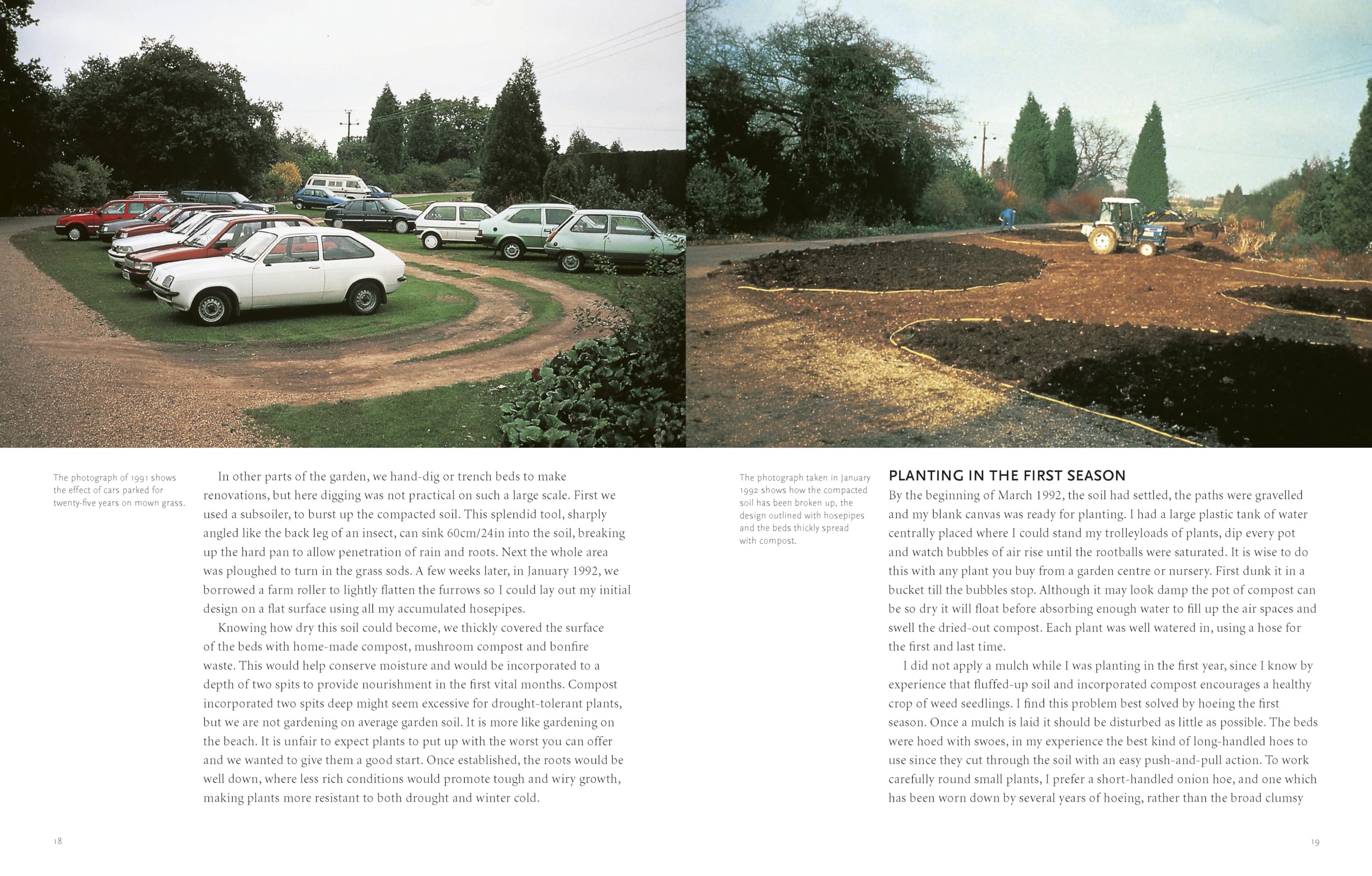 Drought-Resistant Planting: Lessons from Beth Chatto's Gravel Garden