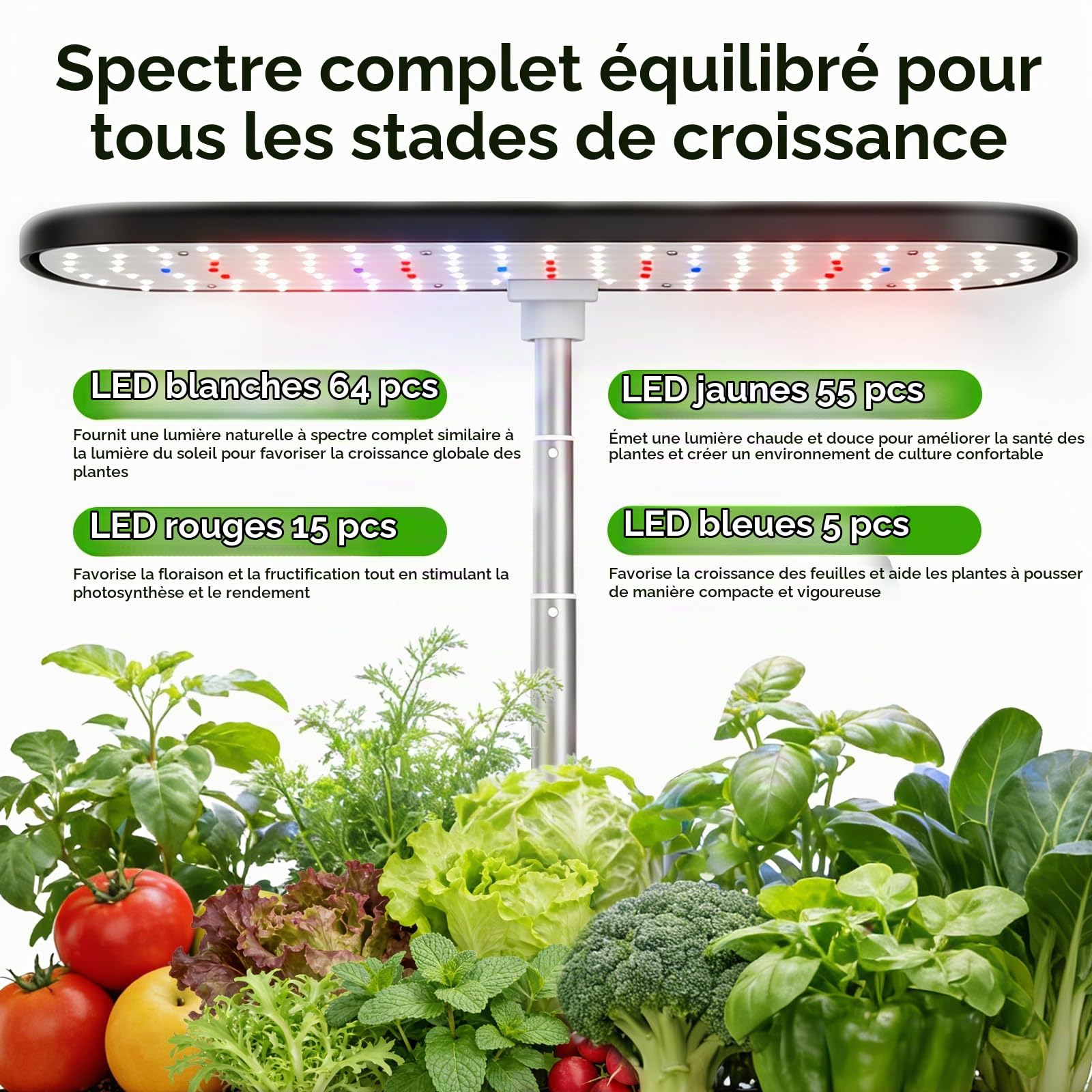 12 Pods Potager Interieur, Jardin D'herbes Hydroponique, Jardinière Intelligente avec Minuterie Automatique, Kit de Jardin D'herbes D'intérieur à réglable en Hauteur