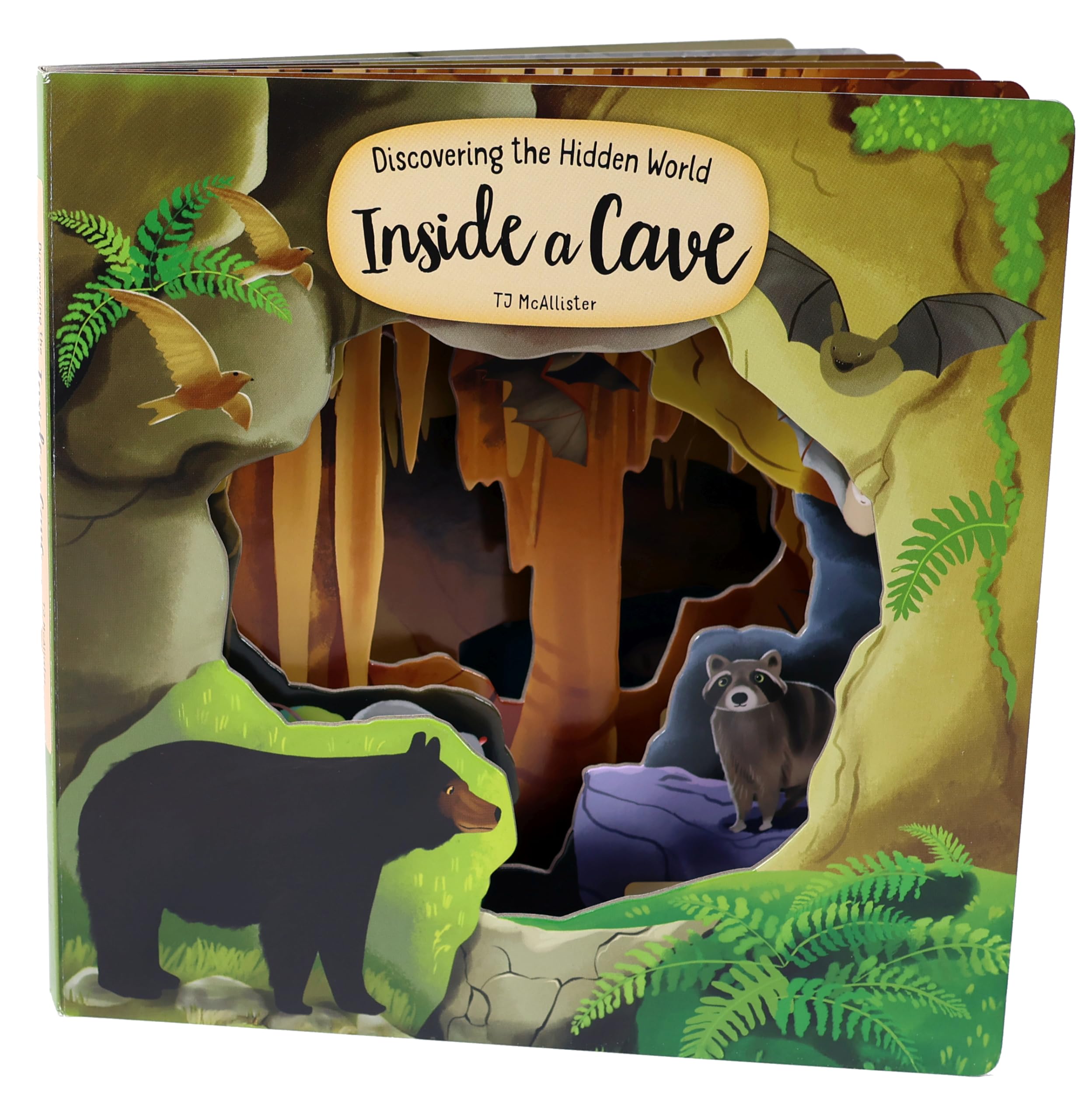 Discovering the Hidden World Inside a Cave by TJ McAllister 9781641244213