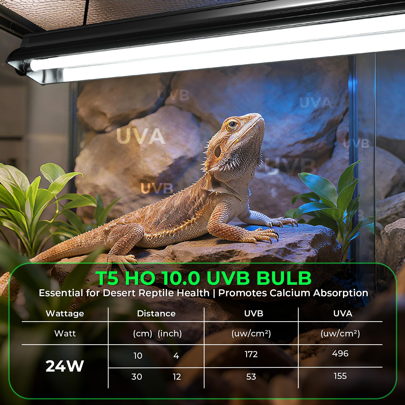 GlowUp 22 Inch T5 HO 10.0 24W Bearded Dragon UVB Light Bulb, UVA UVB Reptiles Light Bar Tube Lamp, UVB Reptile Light Bulb for Leopard Gecko Tortoise Chameleon Tropical Desert Reptile Terrarium -2Pack - image 2