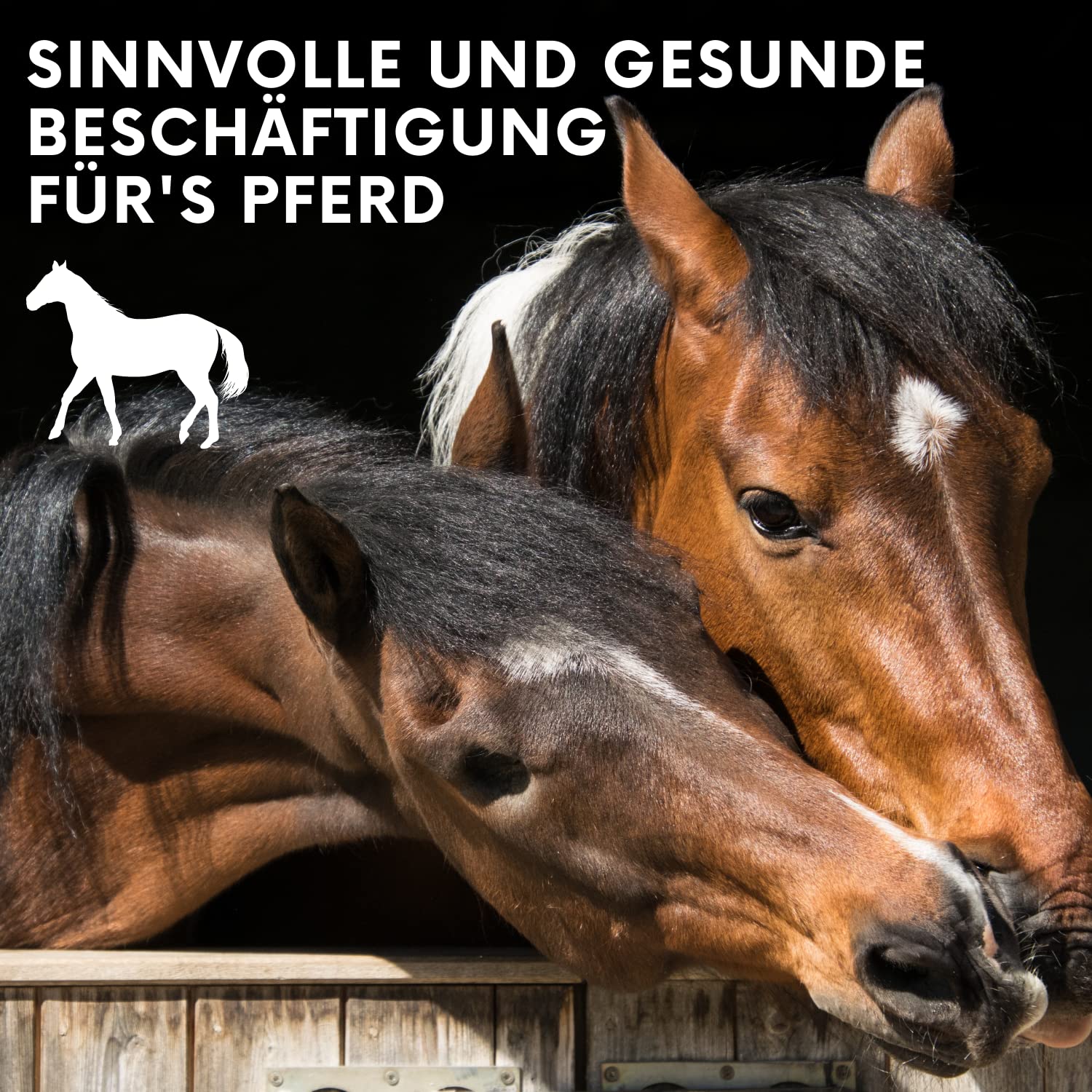 LAX Wiesenprodukte Spielseil für Pferde 1 kg (1 Stück) – Getreidefreies Beschäftigungsfutter mit Luzerne & Holzscheiben – Natürlicher & rohfaserreicher Pferdesnack