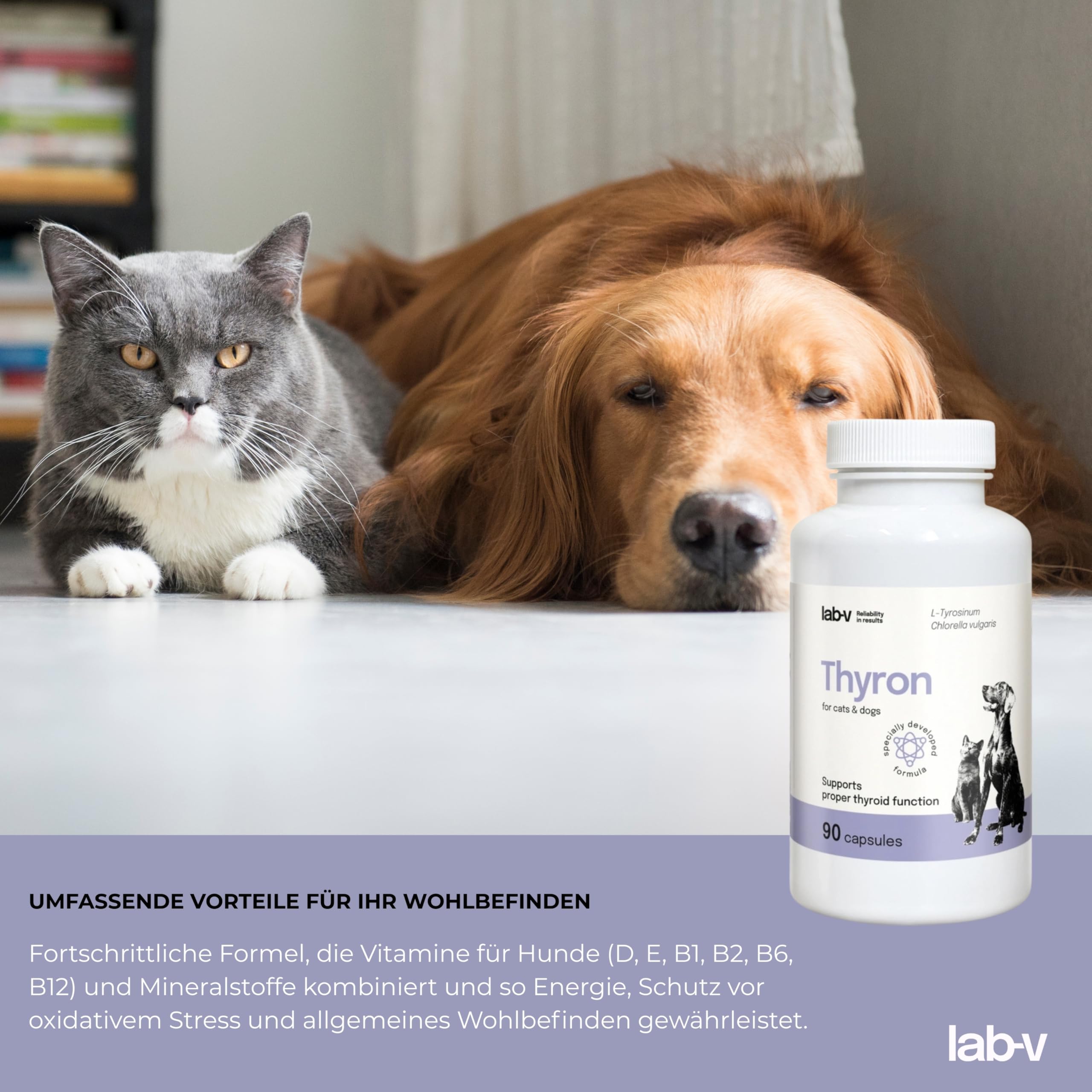 Lab-V Thyron für Hunde und Katzen – Ergänzungsfuttermittel zur Unterstützung der Schilddrüsenfunktion – 90 Kapseln – ohne künstliche Zusatzstoffe – täglich anwendbar