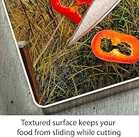 Vista 3 de CounterArt Path to the Ocean 3mm Tempered Glass Cutting Board 15” x 12” Serving Board Charcuterie Board