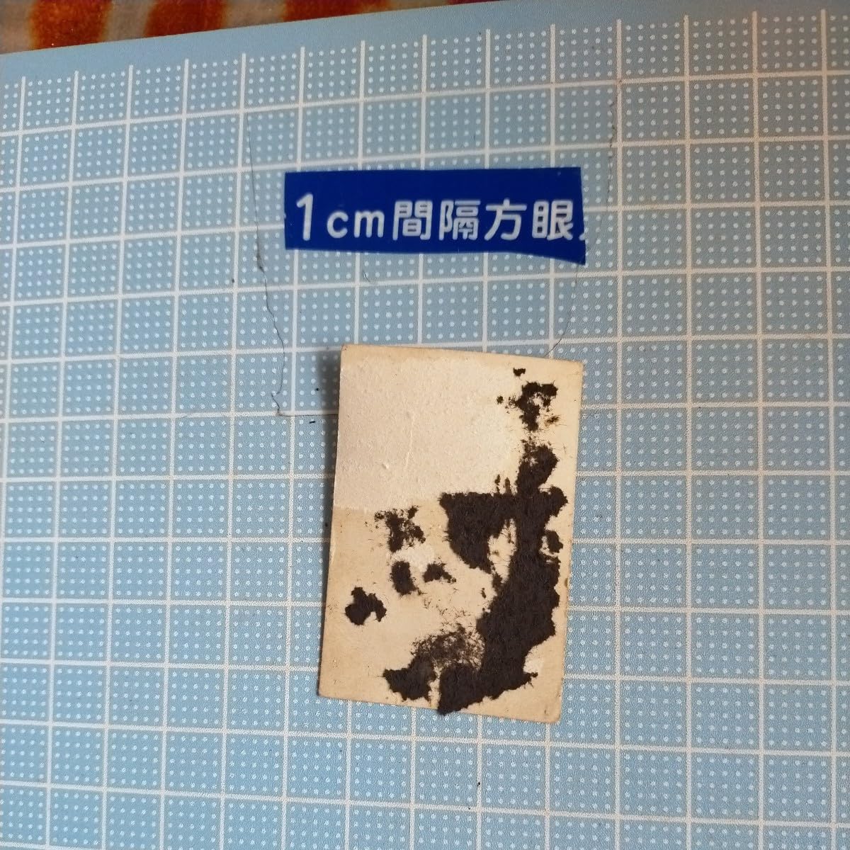 昔の写真　古い写真　昭和？明治？大正？　レトロ？　骨董？ 昔の写真6枚 #7 古い写真 昭和？明治？大正？ レトロ？ 骨董