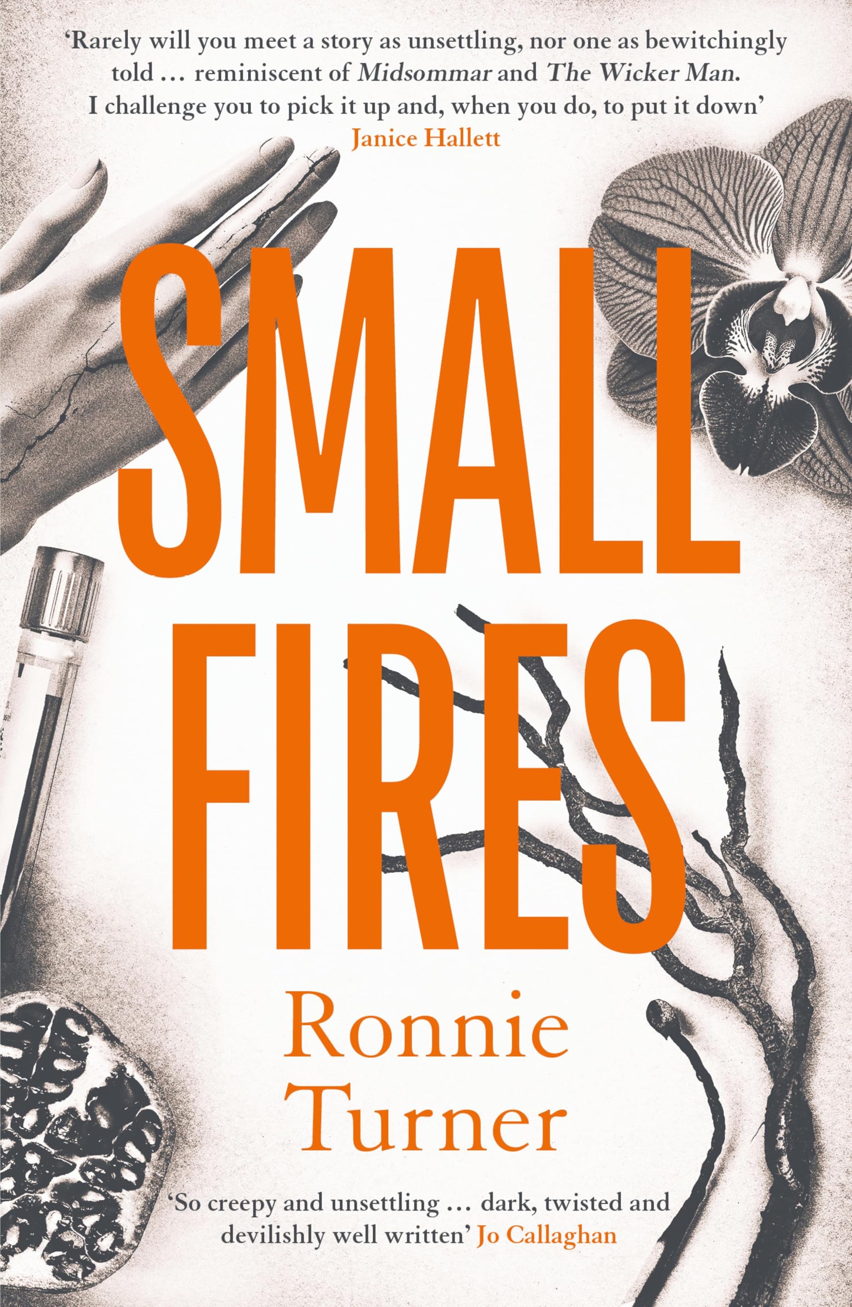 Small Fires: This year's most unsettling, hypnotic contemporary gothic thriller (English Edition)