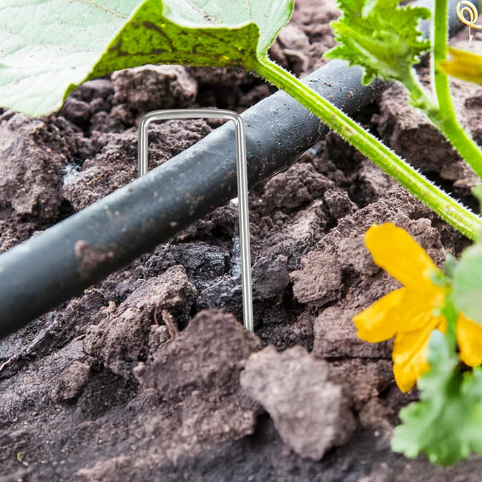 100 picchetti da giardino in acciaio galvanizzato a forma di U, per geotessile, prato, patio, paesaggistica, barriera, tessuto per irrigazione