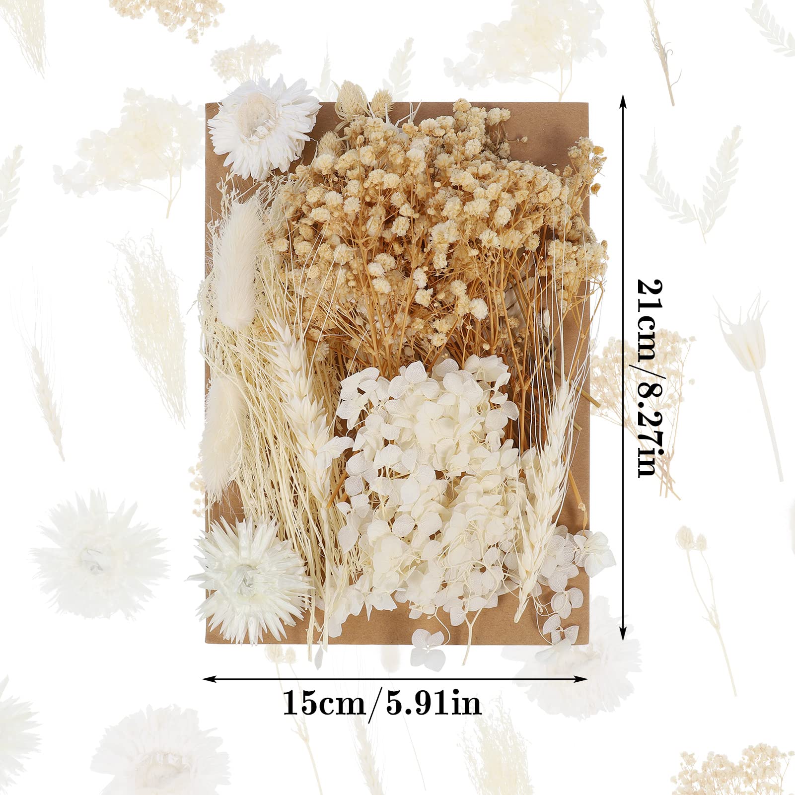 ALTcompluser Trockenblumen Set für Kunst DIY, Harz, Scrapbooking, Handwerk und Karten Machen - Klein, Weiß