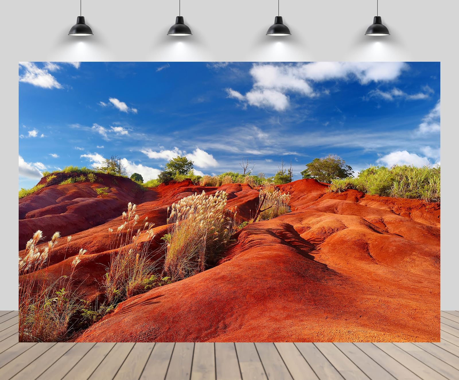 Amazon.com : CHNYWORK 7ftx5ft Hawaii Canyon Backdrop Famous Red Dirt of ...