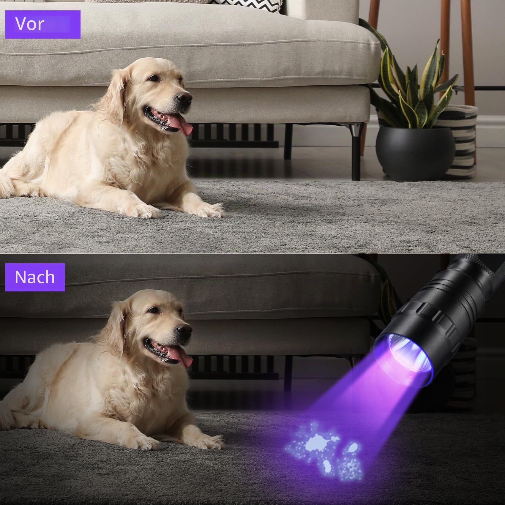 DARKBEAM Taschenlampe UV 395nm Schwarzlicht, Mini & Leistungsstarke Wood's Lamp USB-C LED Wiederaufladbares Schwarzlicht, 10W Tragbarer Haustier-Hundeurin-Detektor – Harzhärtung, Fluoreszierend