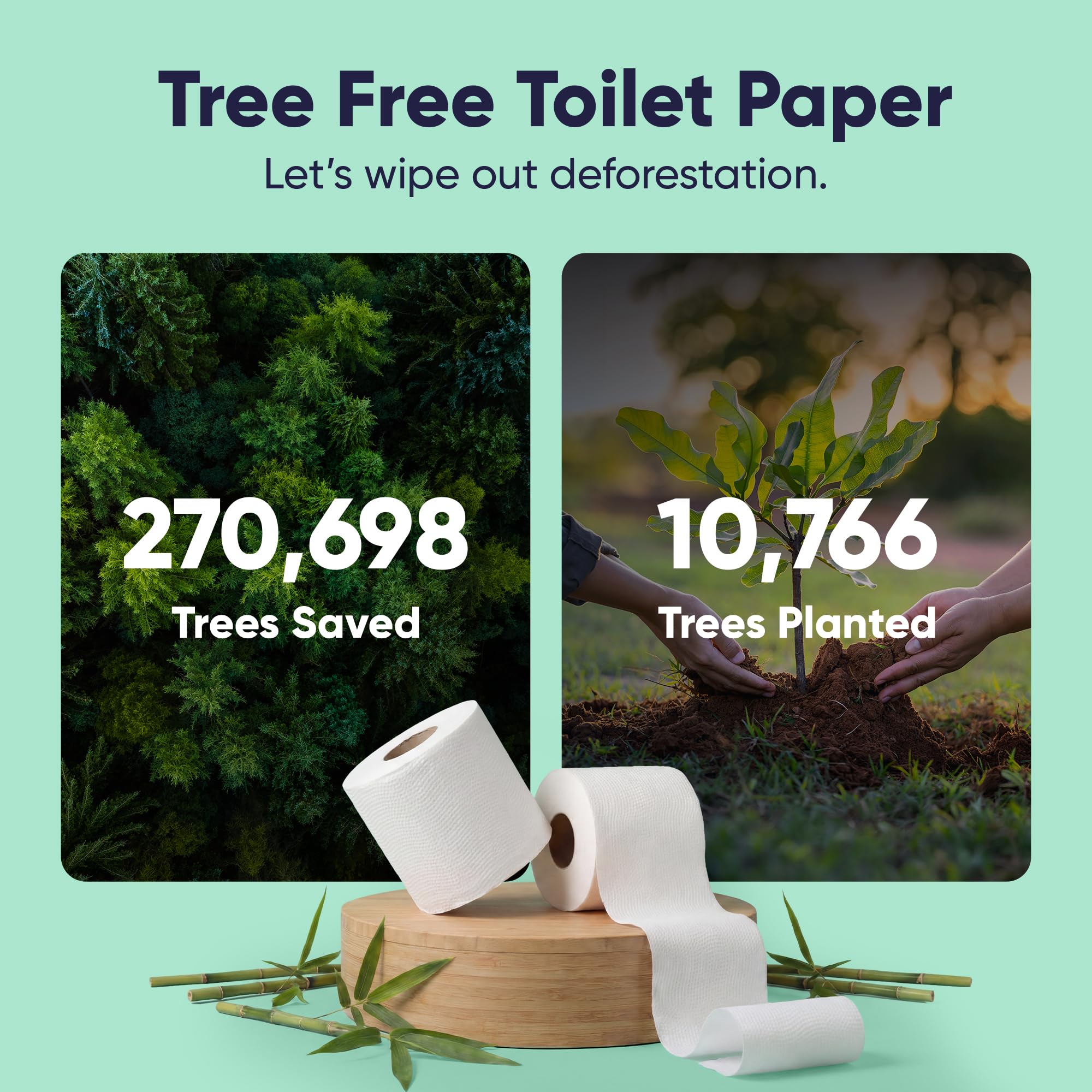 Save Trees Bambus Toilettenpapier - 12 Rollen Bio Toilettenpapier, 3-lagig, 300 Blatt pro Rolle - PFAS frei, FSC zertifiziert, plastikfrei, vegan & chemikalienfrei Bamboo TP