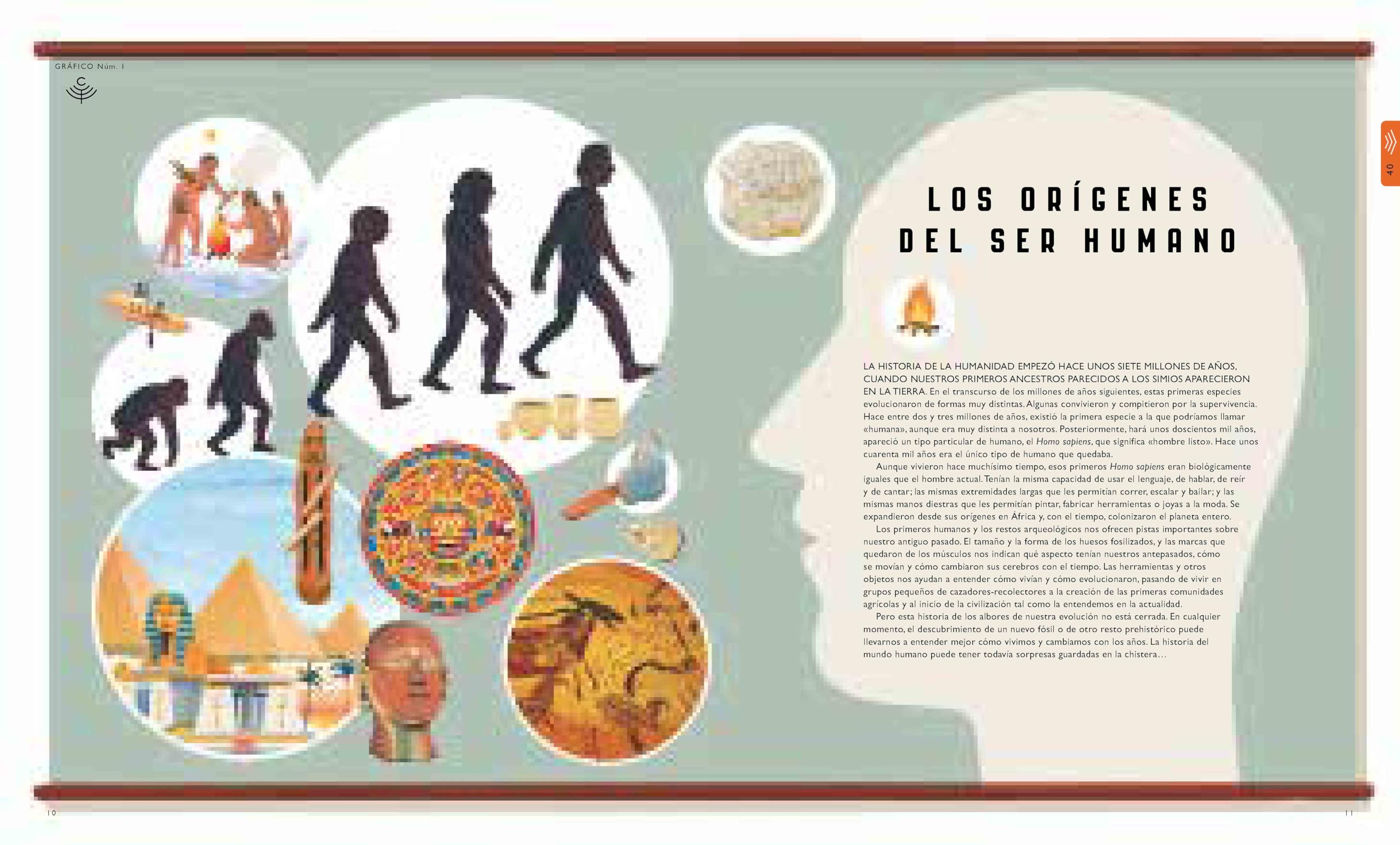 El curioso árbol prodigioso. Mundo humano: 2