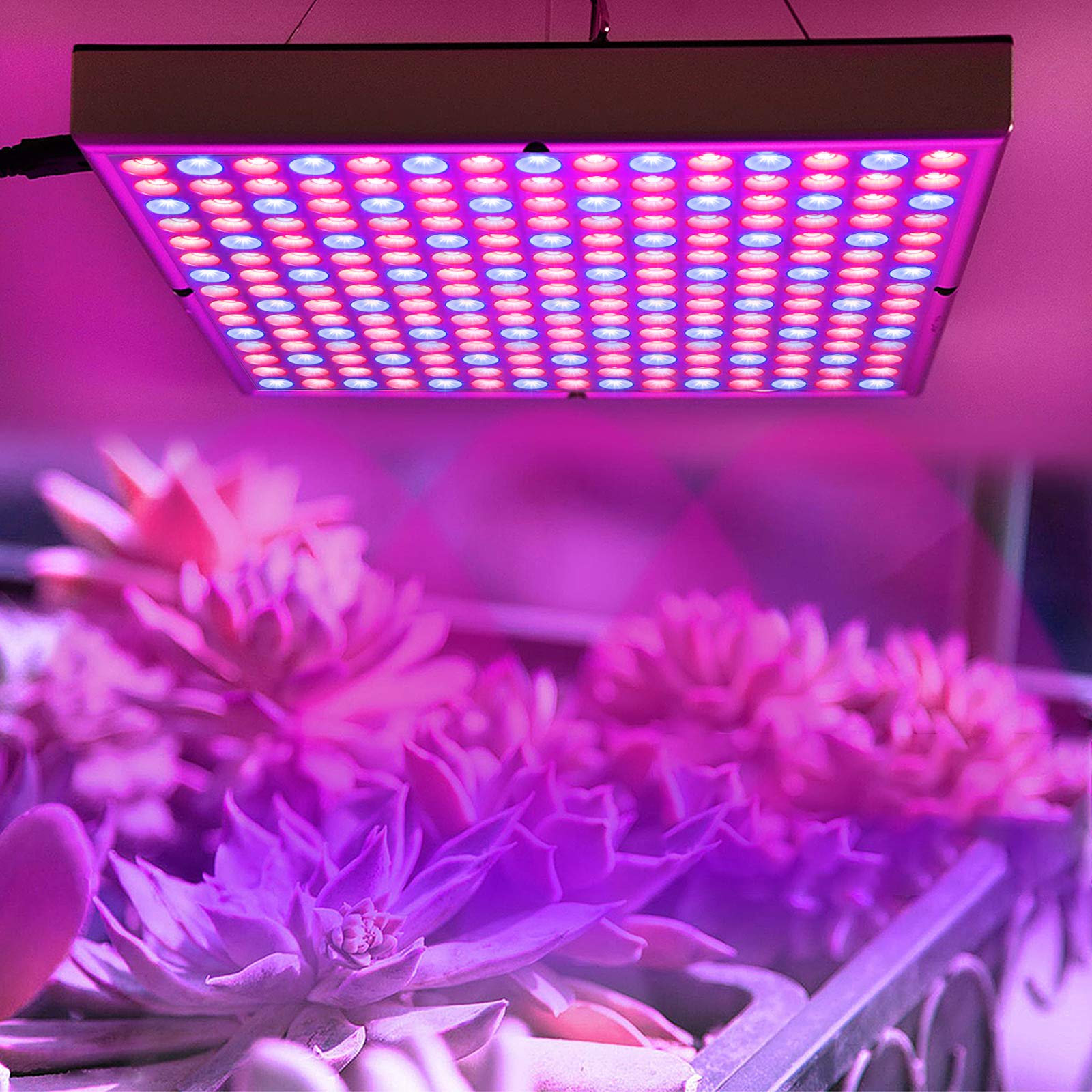 LZQ Lampe LED pour plantes - 45 W - 225 LED - Spectre complet - Lumière de croissance pour plantes d'intérieur - Bleu + rouge + blanc - Carré