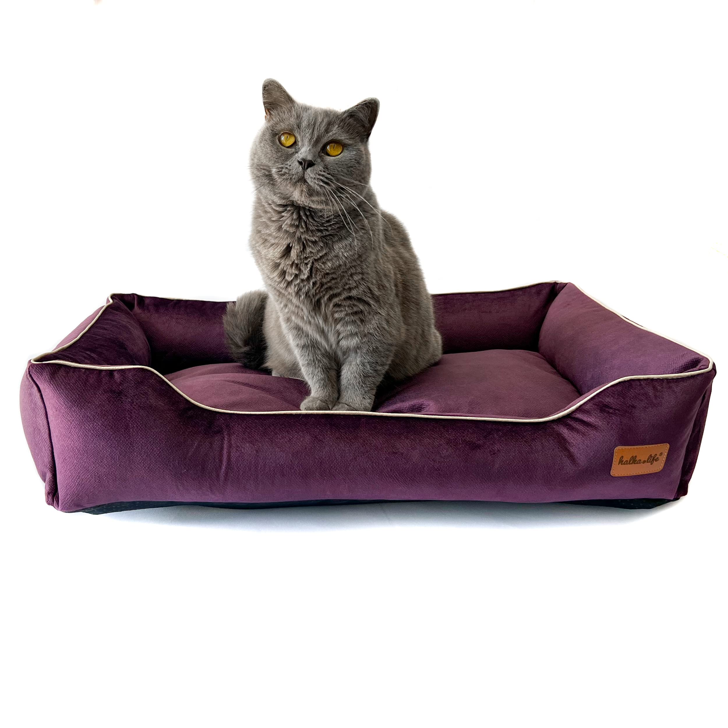 Divano per Cani Impermeabile e Resistente all'abrasione. Divano Lussuoso e Glamour per Un Cane o Un Gatto. Letto Morbido per Cani. (S (60x40x15 cm), Prugna)