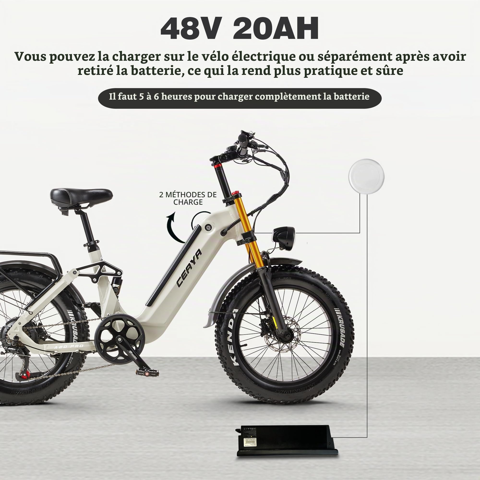 Vélo électrique pour Adultes VTT 20 Pouces E Bike avec Batterie 20 Ah, Double Suspension, 7 Vitesses, Gros Pneus Tout-Terrain, Autonomie jusqu'à 50-80 km