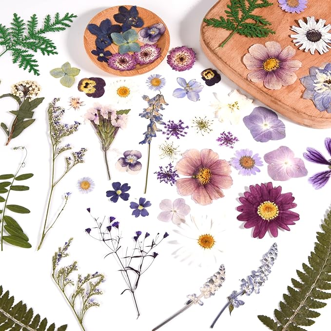 Set de 80 Flores Secas Prensadas Naturales con Pinzas para Manualidades miniatura 2
