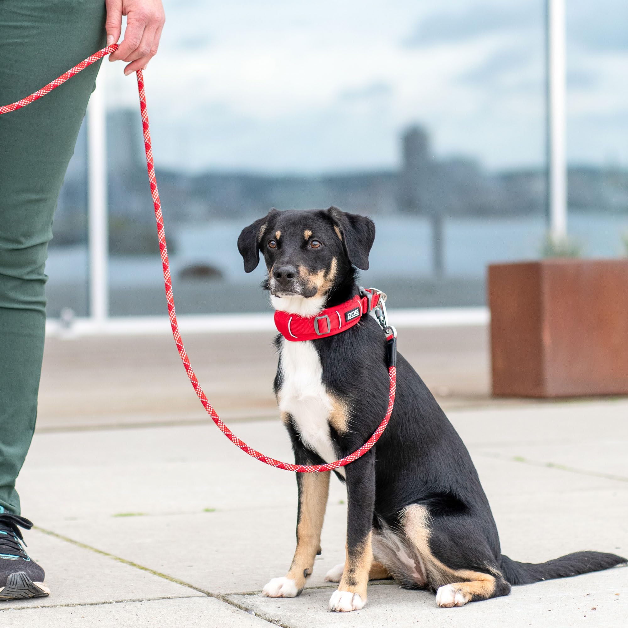 DOG Copenhagen Urban Explorer 3.0 Collar, Classic Red, M