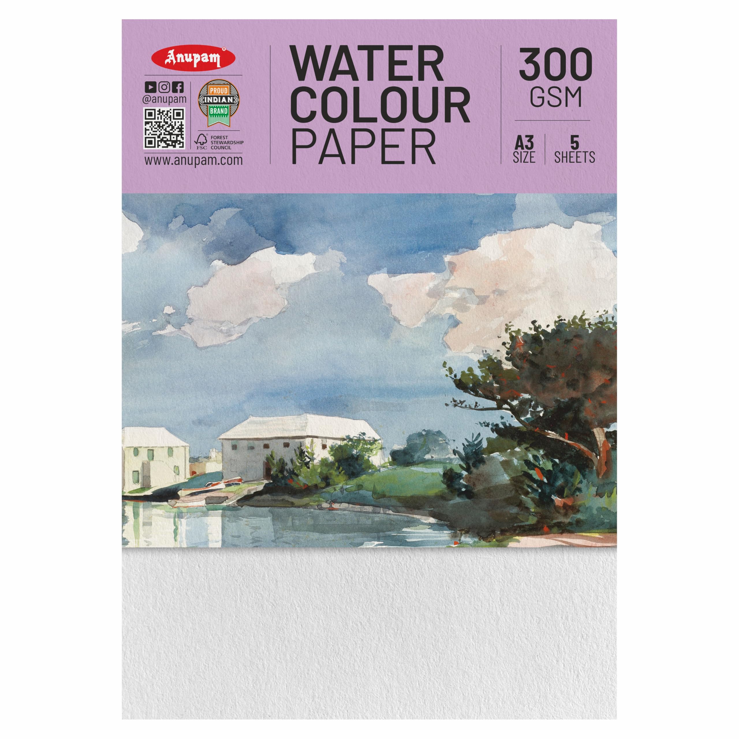Anupam Professional Watercolour Paper | A3 (42X30CM) 300 GSM Cold Pressed Paper |Acid-Free 5 Sheets| Ideal for Artist, Professional Drawing, Painting Dry & Wet, Fine Art, School, Students