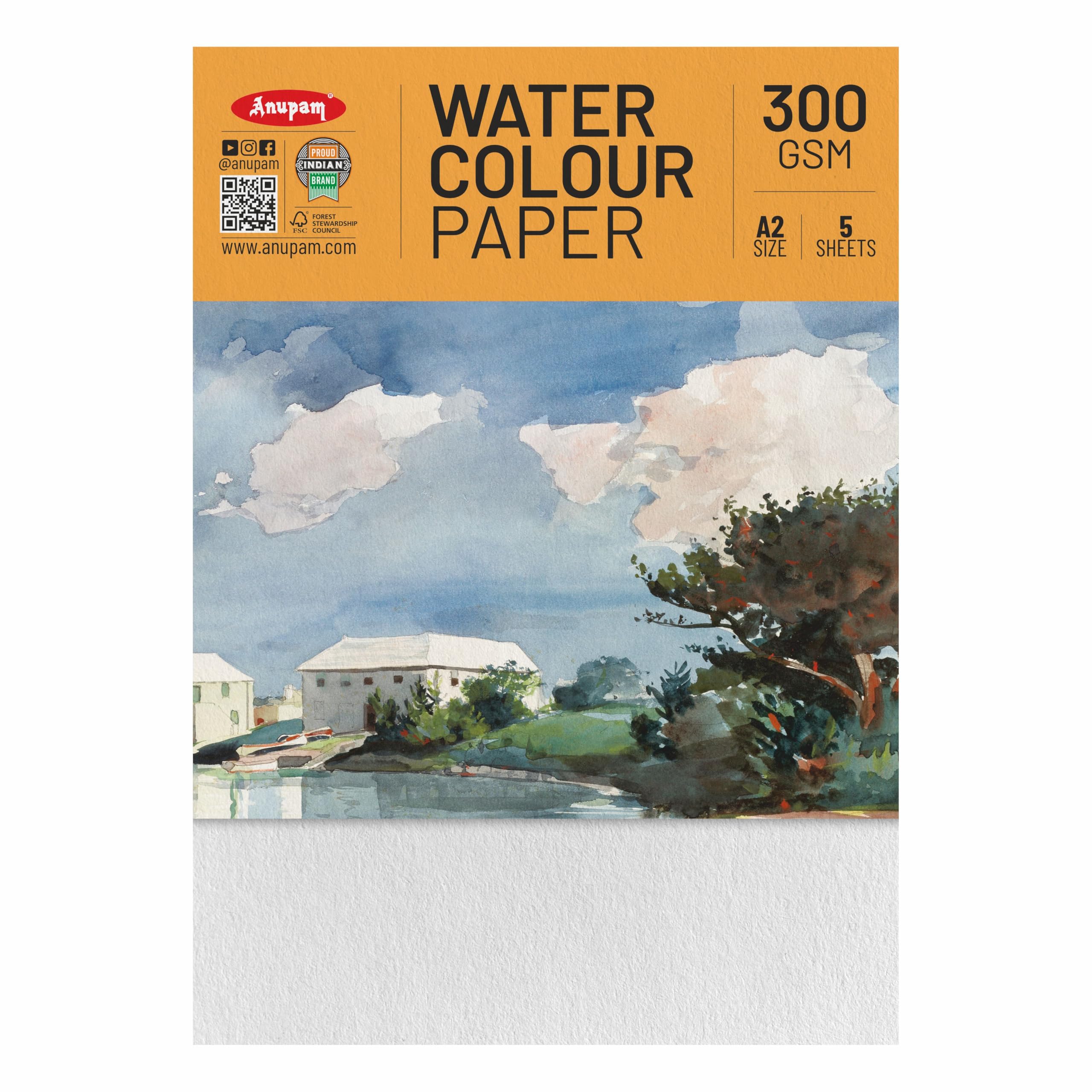 Anupam Professional Watercolour Paper | A2 (60X42CM) 300 GSM Cold Pressed Paper | 5 Sheets | Ideal for Artist, Professional Drawing, Painting Dry & Wet, Fine Art, School, Students, Watercolor