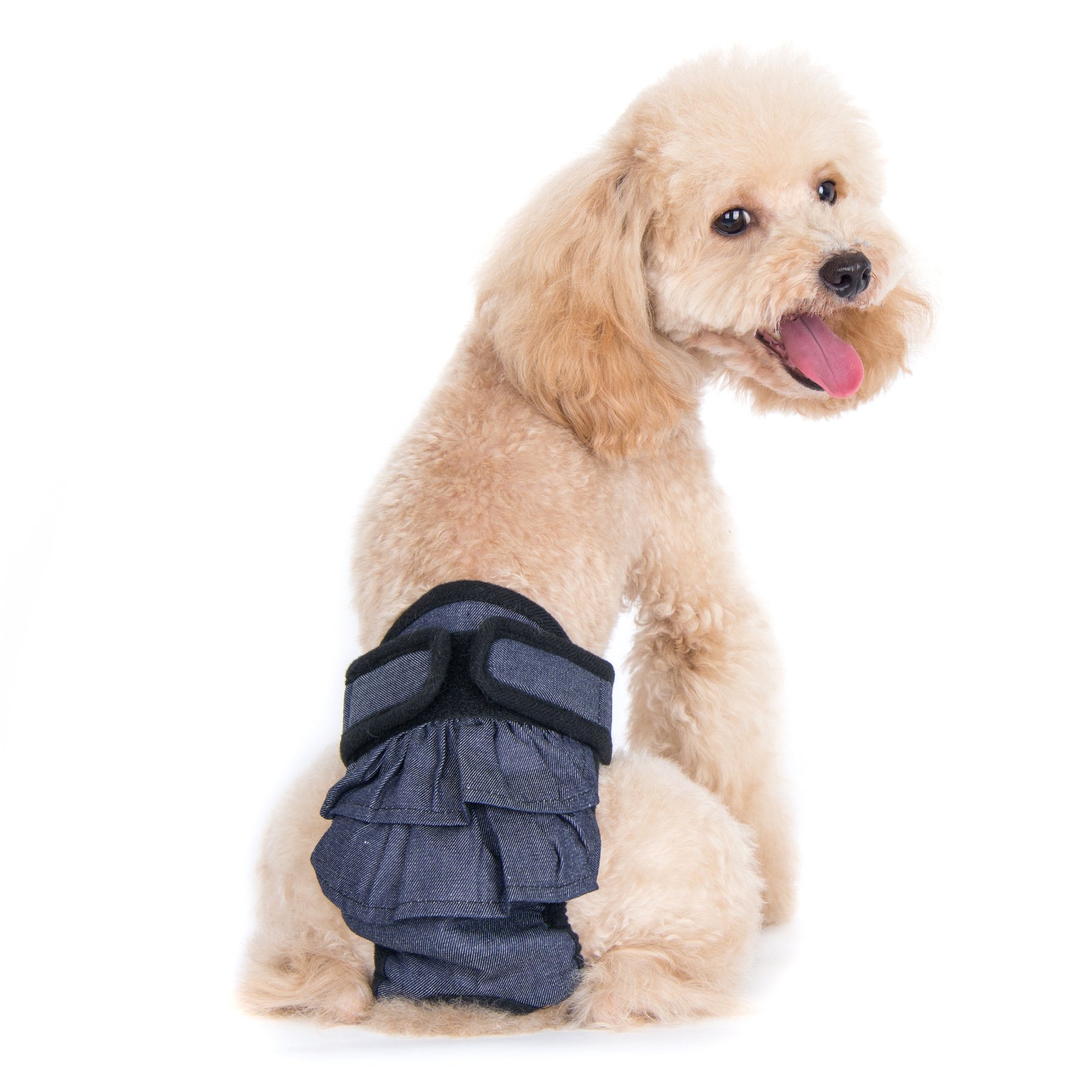 alfie dog diapers