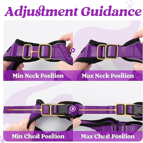 Miniatura 205 de rabbitgoo Arnés y correa para caminar, a prueba de escapes, chaleco suave y ajustable para gatos, fácil de controlar, transpirable, tiras